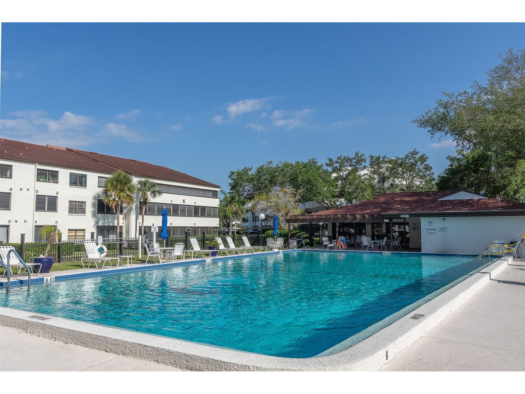 2595 Countryside Boulevard #8311 Clearwater FL 33761 TB8481825 image24