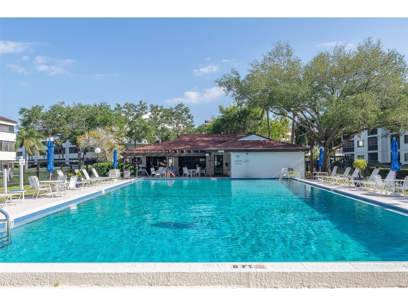 2595 Countryside Boulevard #8311 Clearwater FL 33761 TB8481825 image25