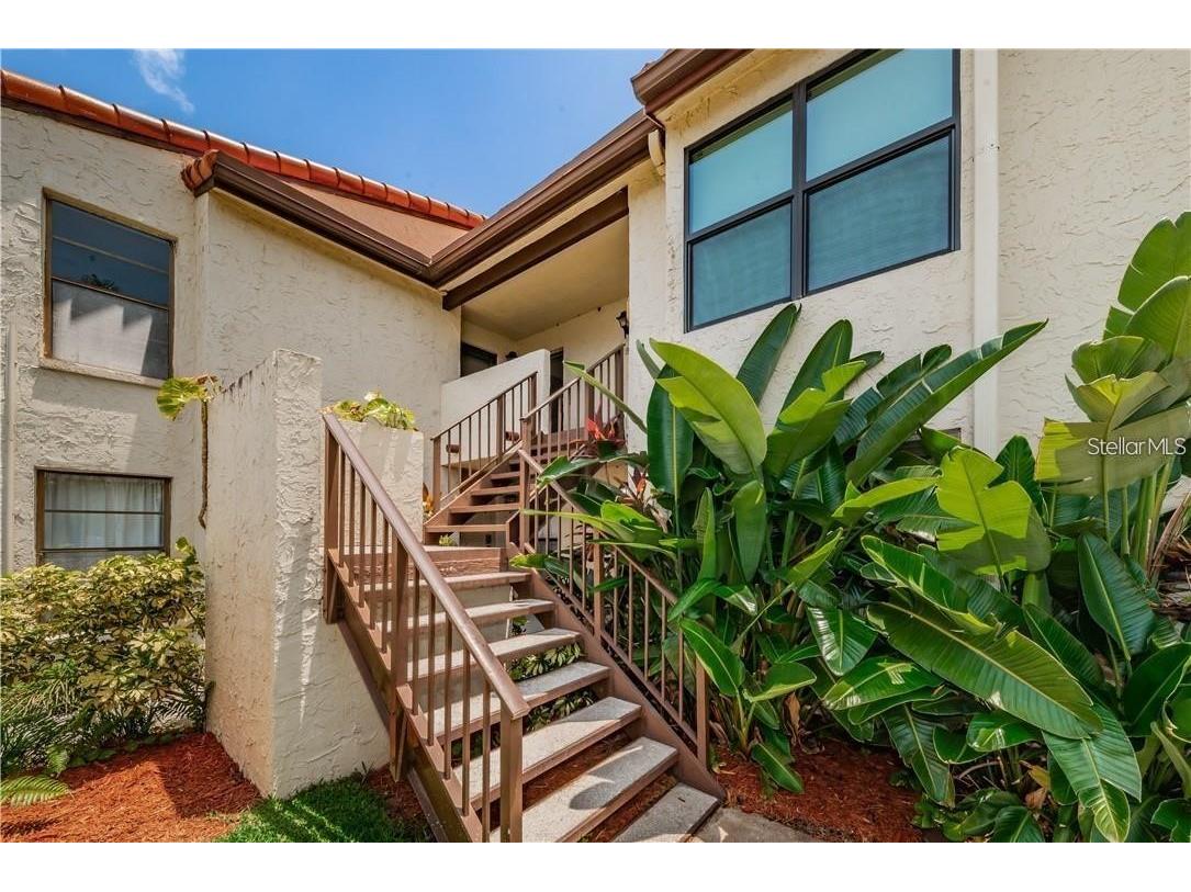 2595 Cyprus Drive #4-217 Palm Harbor FL 34684 TB8510415 image1