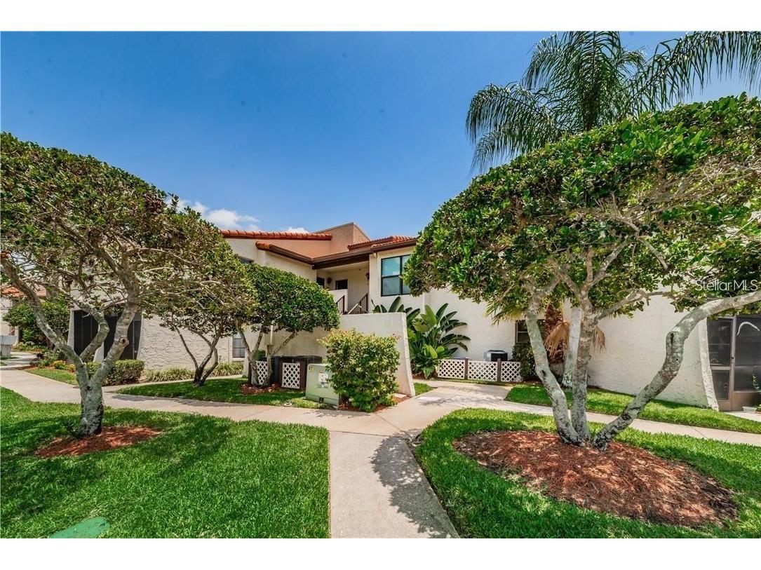 2595 Cyprus Drive #4-217 Palm Harbor FL 34684 TB8510415 image19