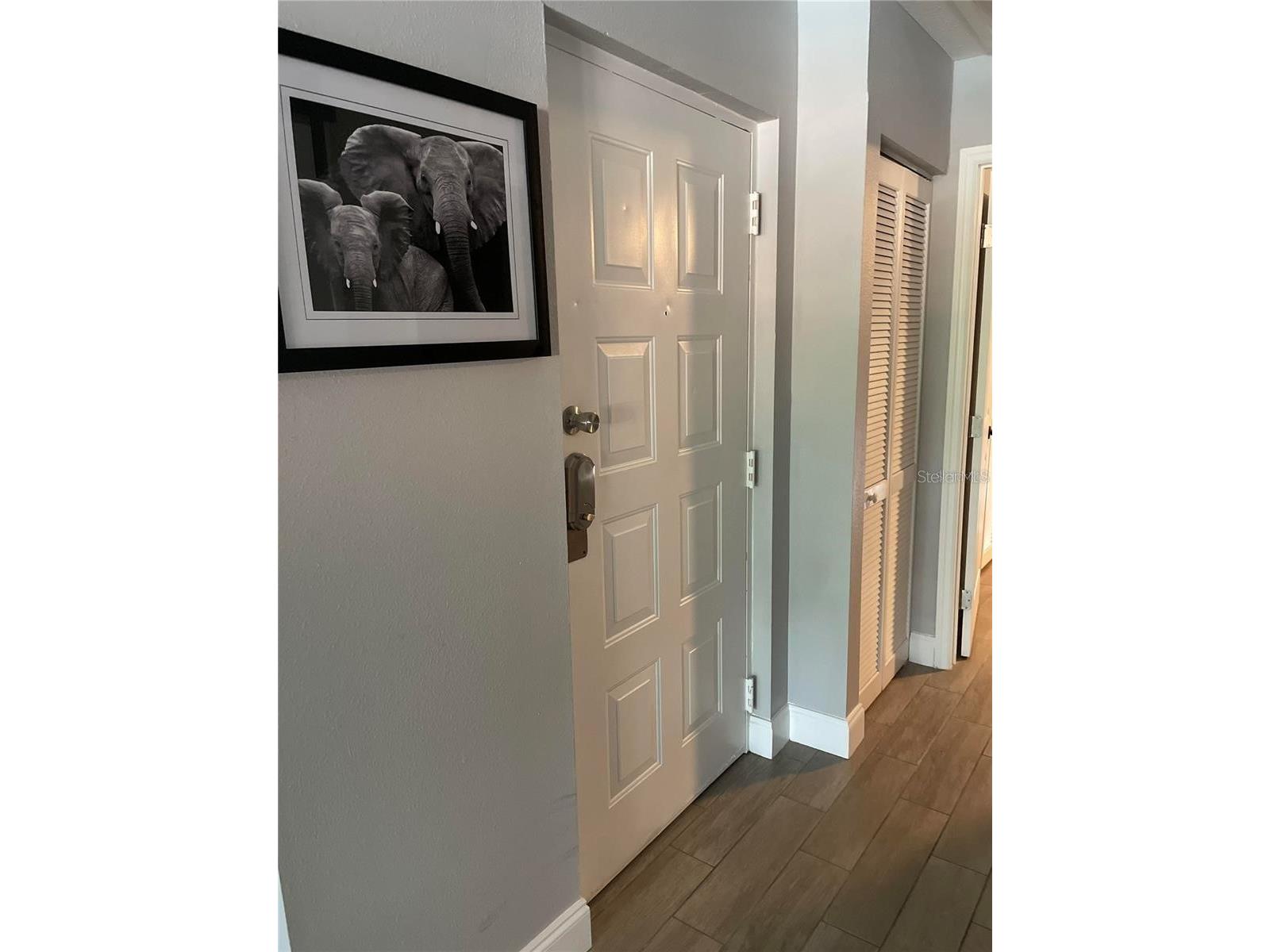 2595 Cyprus Drive #4-217 Palm Harbor FL 34684 TB8510415 image2