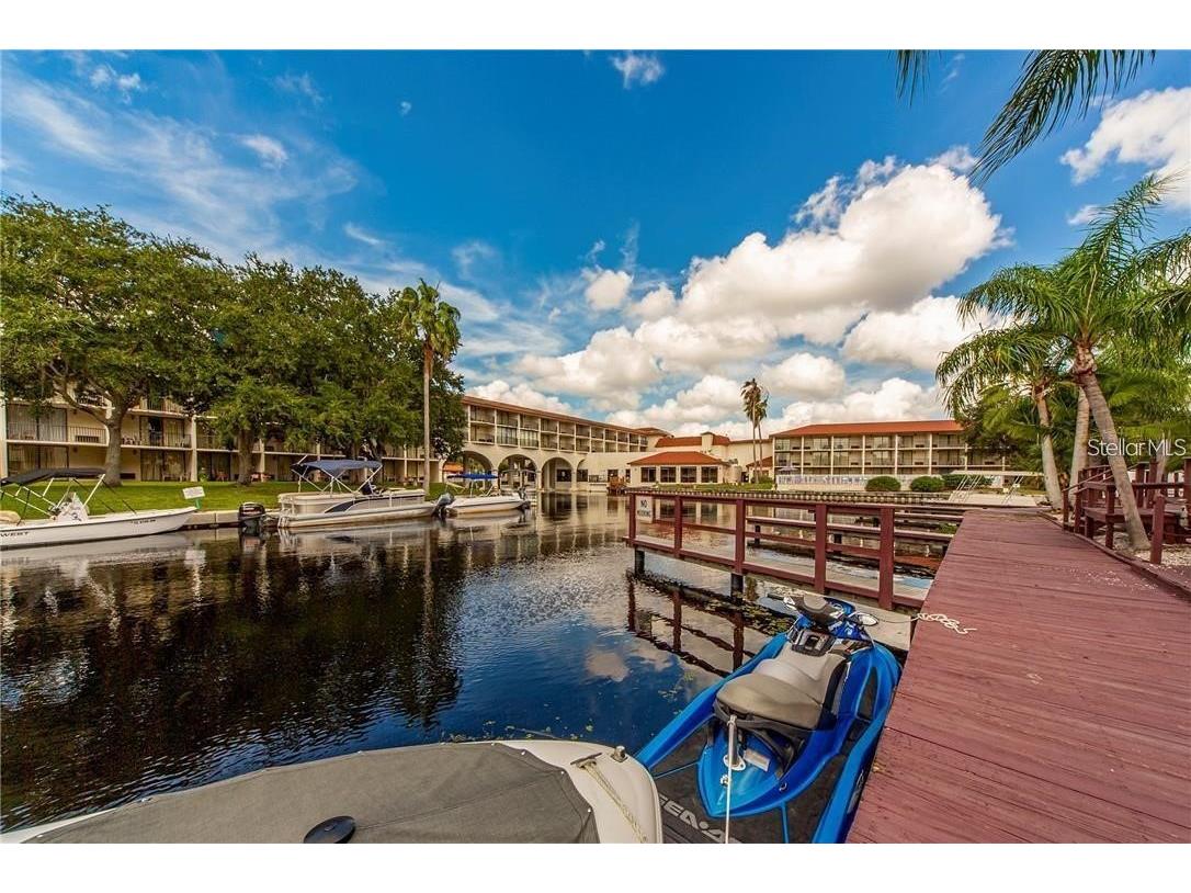 2595 Cyprus Drive #4-217 Palm Harbor FL 34684 TB8510415 image22