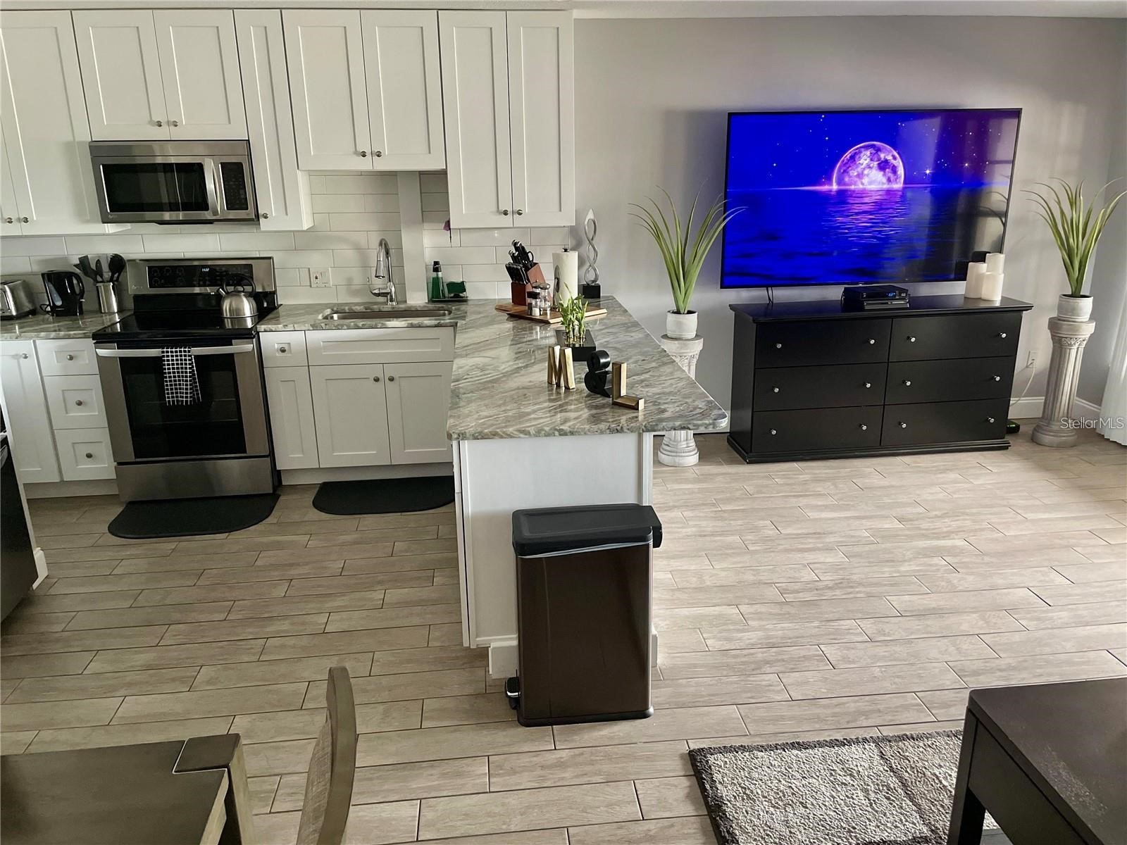2595 Cyprus Drive #4-217 Palm Harbor FL 34684 TB8510415 image24