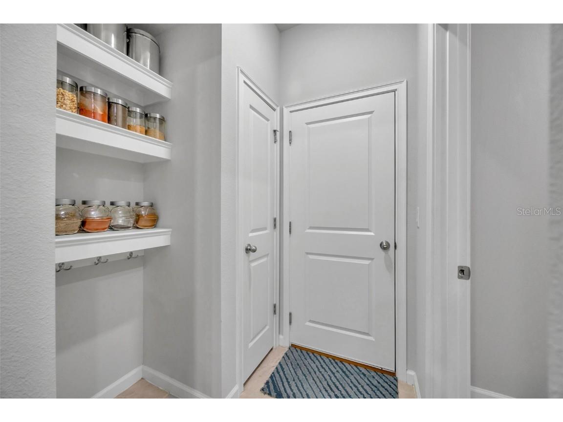 2595 Everglade A Way Lutz FL 33558 TB8446087 image10