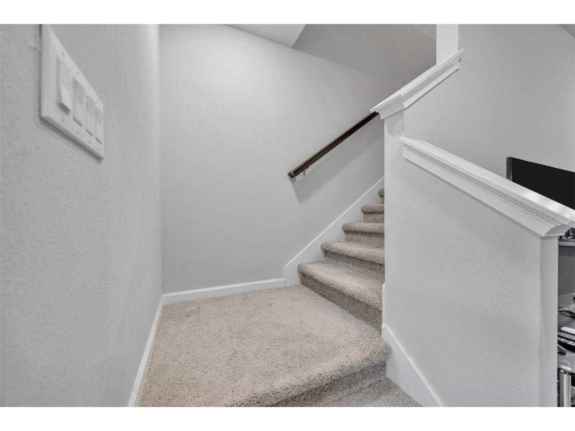 2595 Everglade A Way Lutz FL 33558 TB8446087 image16