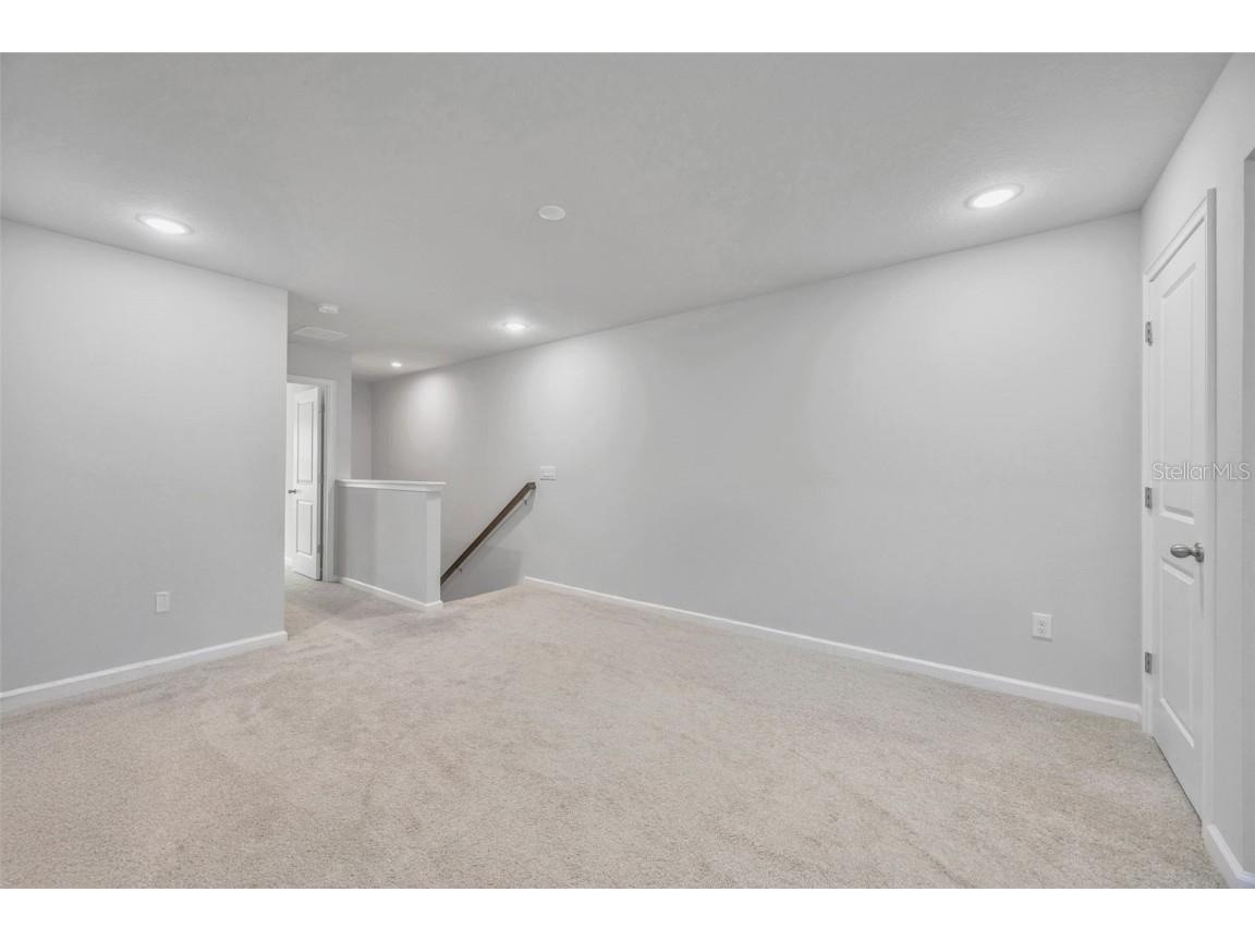 2595 Everglade A Way Lutz FL 33558 TB8446087 image17