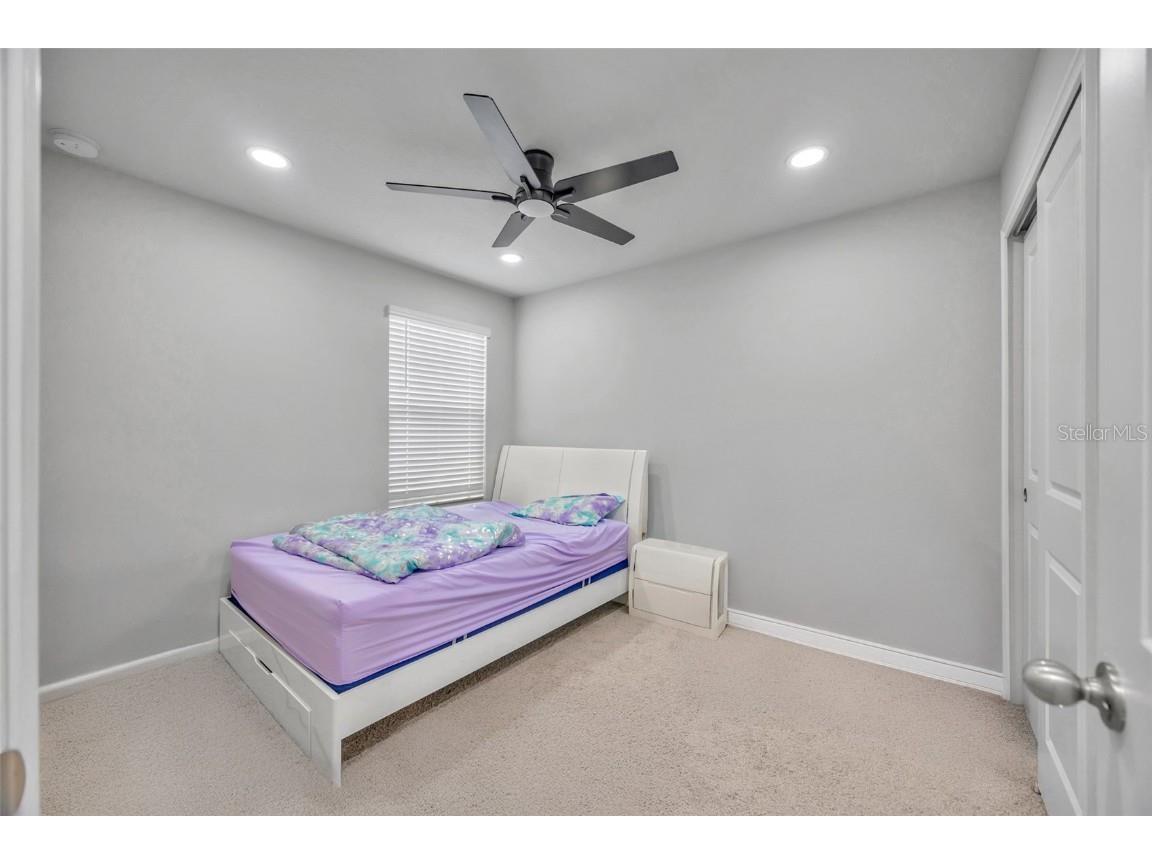 2595 Everglade A Way Lutz FL 33558 TB8446087 image20