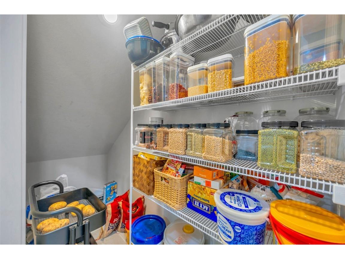 2595 Everglade A Way Lutz FL 33558 TB8446087 image9