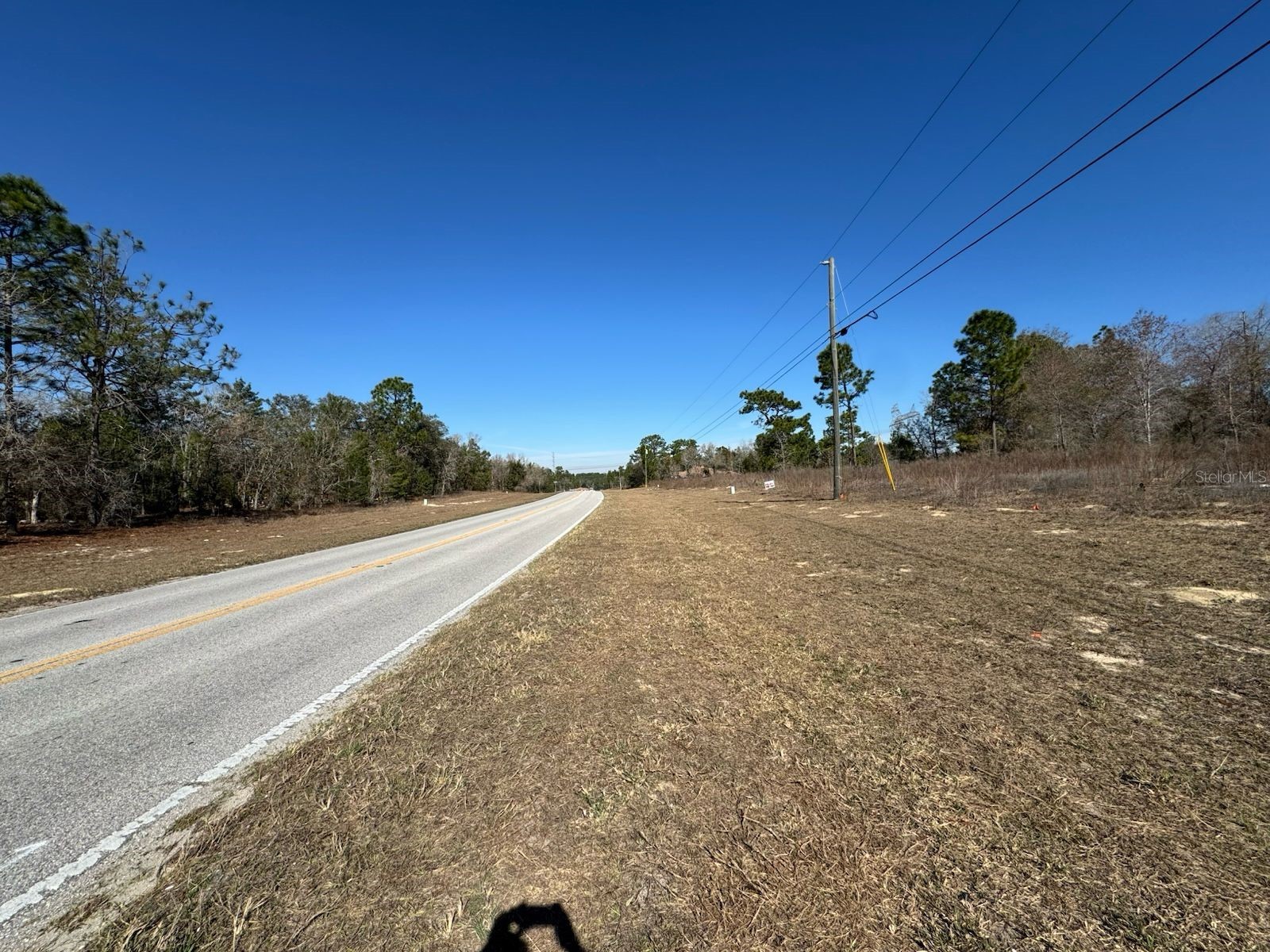 2595 W Chamberlain Street Citrus Springs FL 34434 O6381423 image3