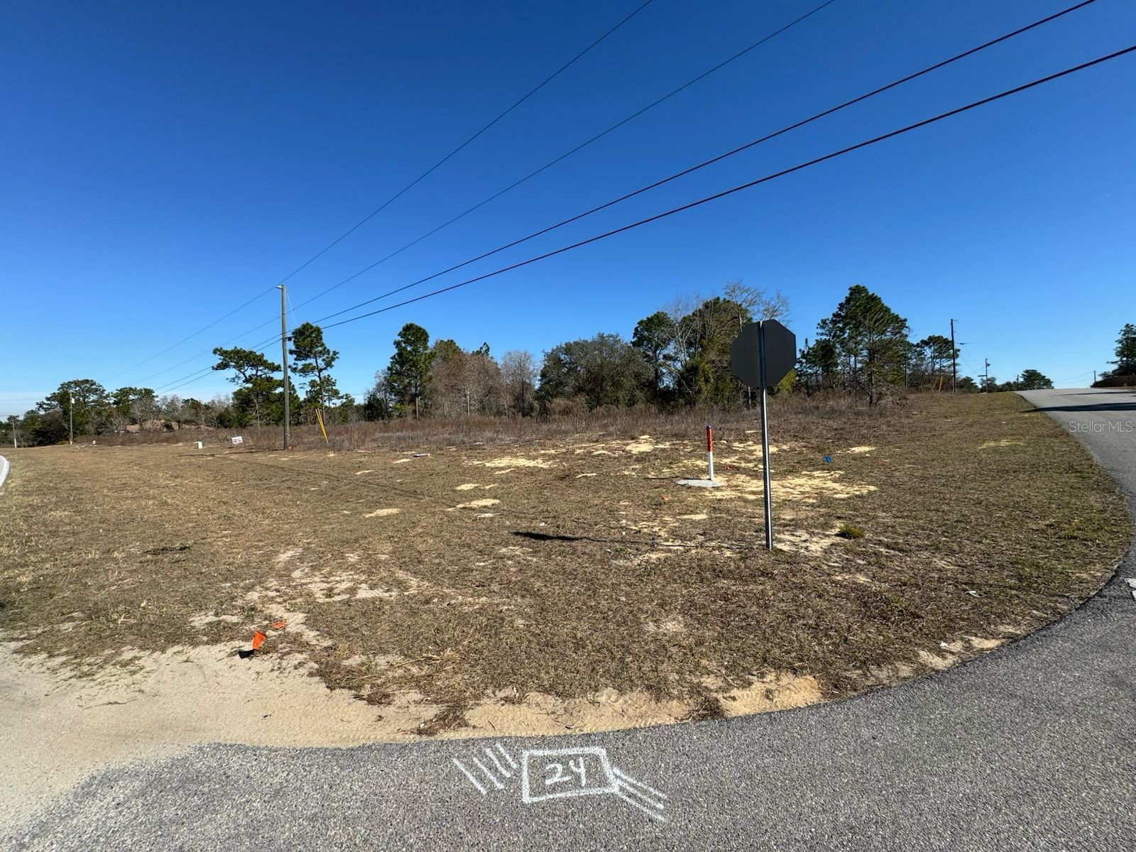 2595 W Chamberlain Street Citrus Springs FL 34434 O6381423 image4