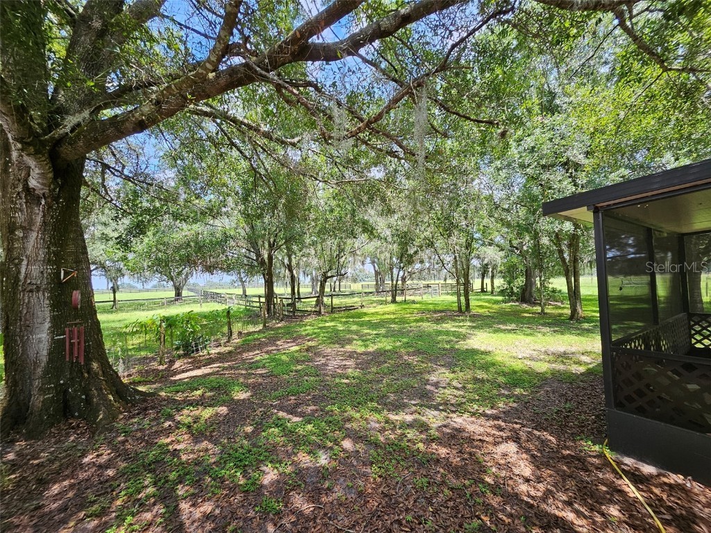 2596 NW Murphy Street Arcadia FL 34266 - PRIVATE POND ON PROPERTY S5138836 image21