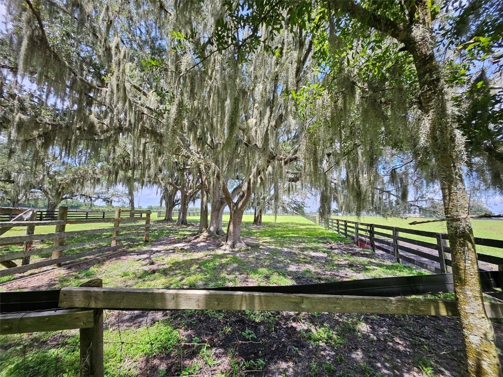 2596 NW Murphy Street Arcadia FL 34266 - PRIVATE POND ON PROPERTY S5138836 image22