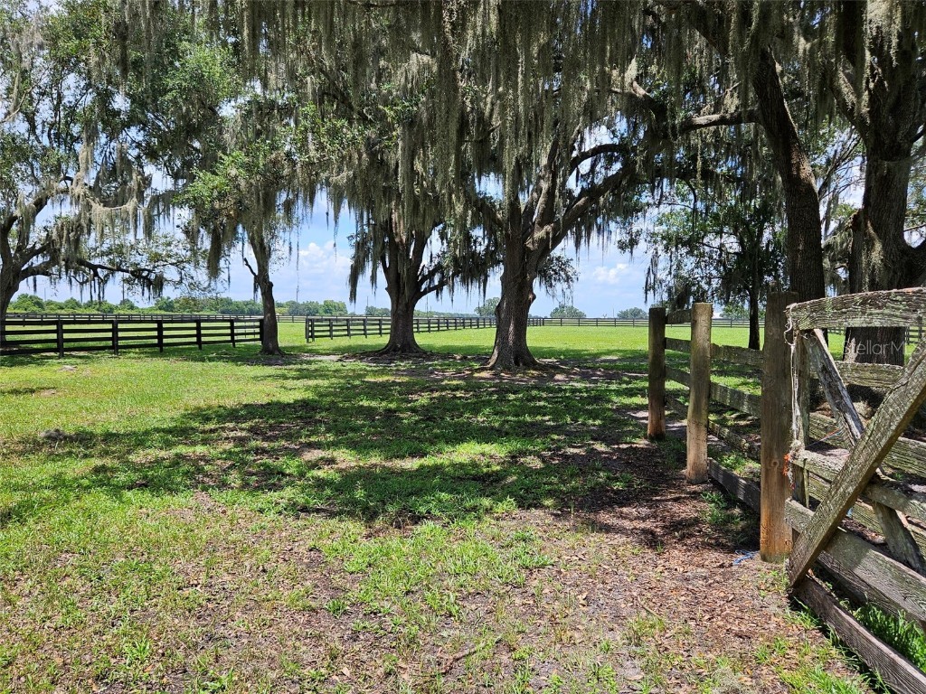 2596 NW Murphy Street Arcadia FL 34266 - PRIVATE POND ON PROPERTY S5138836 image24