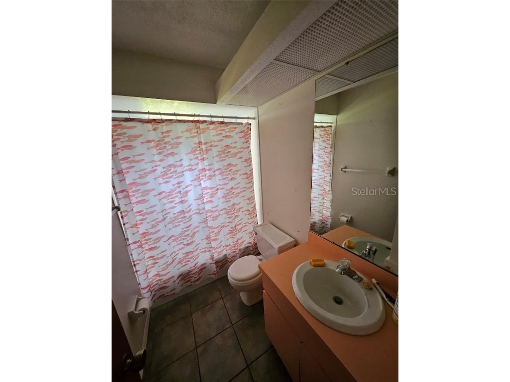 2596 NW Murphy Street Arcadia FL 34266 - PRIVATE POND ON PROPERTY S5138836 image48