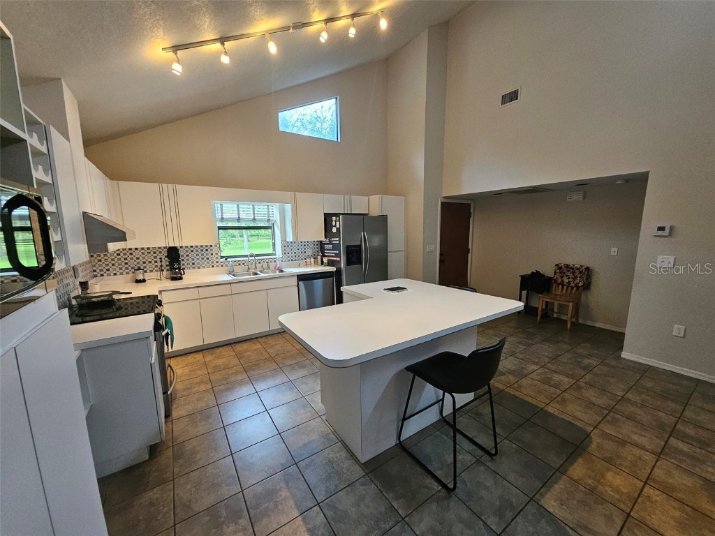 2596 NW Murphy Street Arcadia FL 34266 - PRIVATE POND ON PROPERTY S5138836 image6