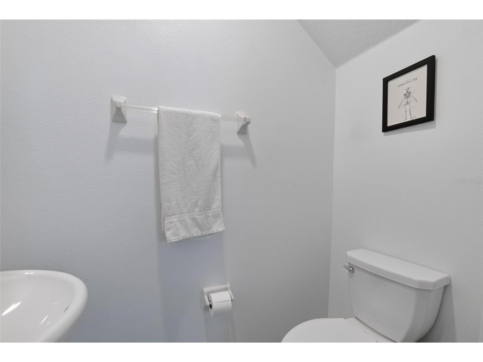 2597 Charlan Holiday FL 34690 TB8527149 image24