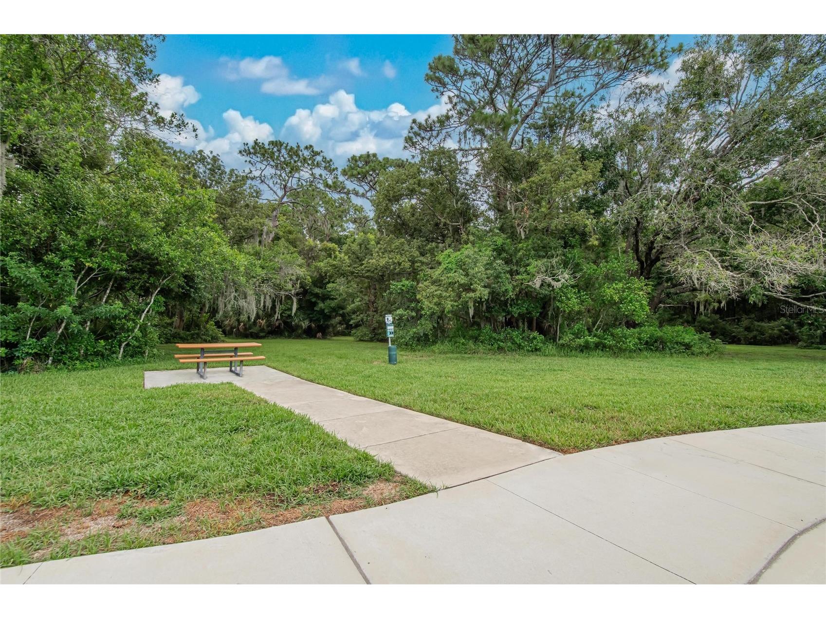 2597 Charlan Holiday FL 34690 TB8527149 image52
