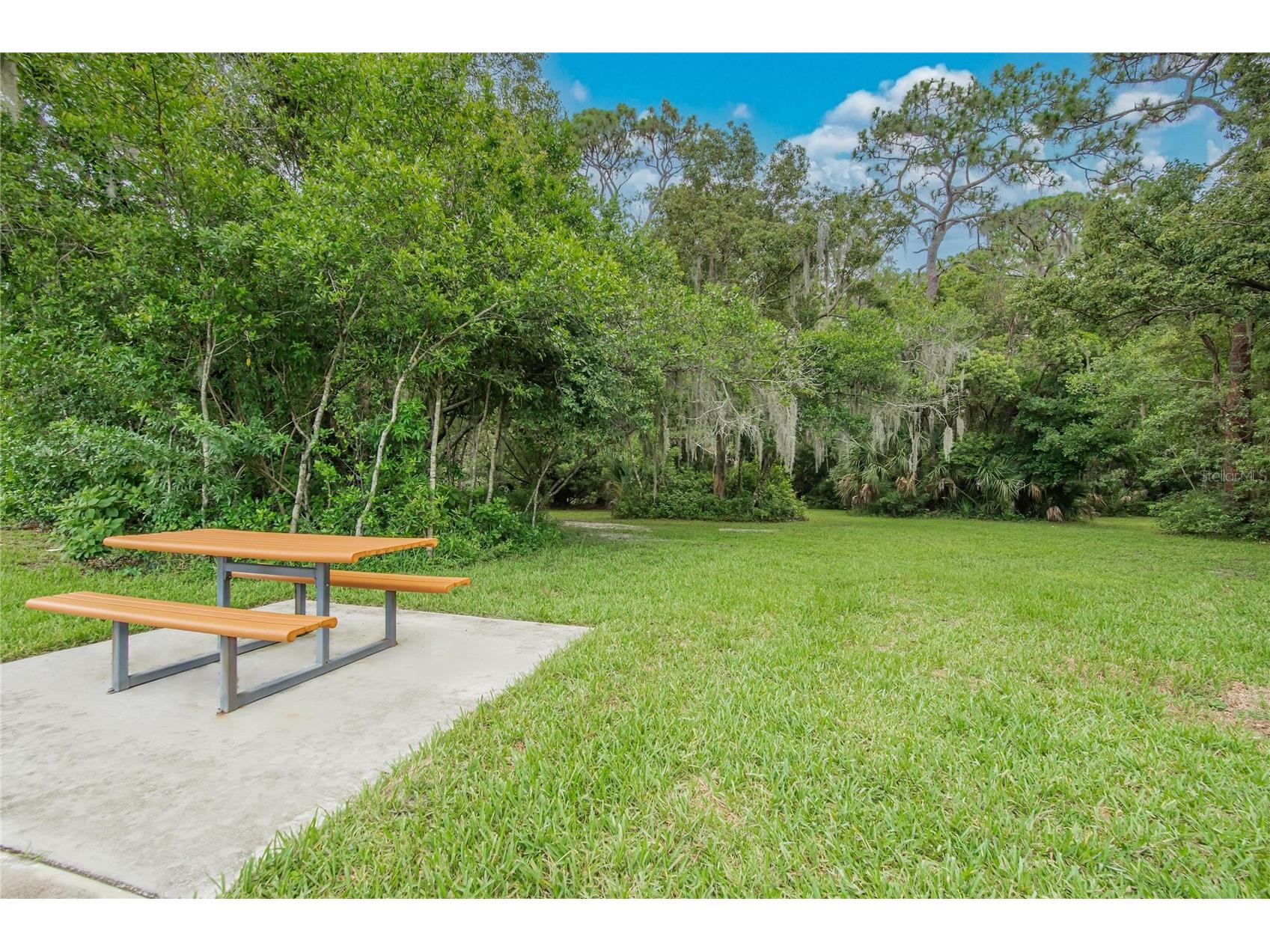 2597 Charlan Holiday FL 34690 TB8527149 image53