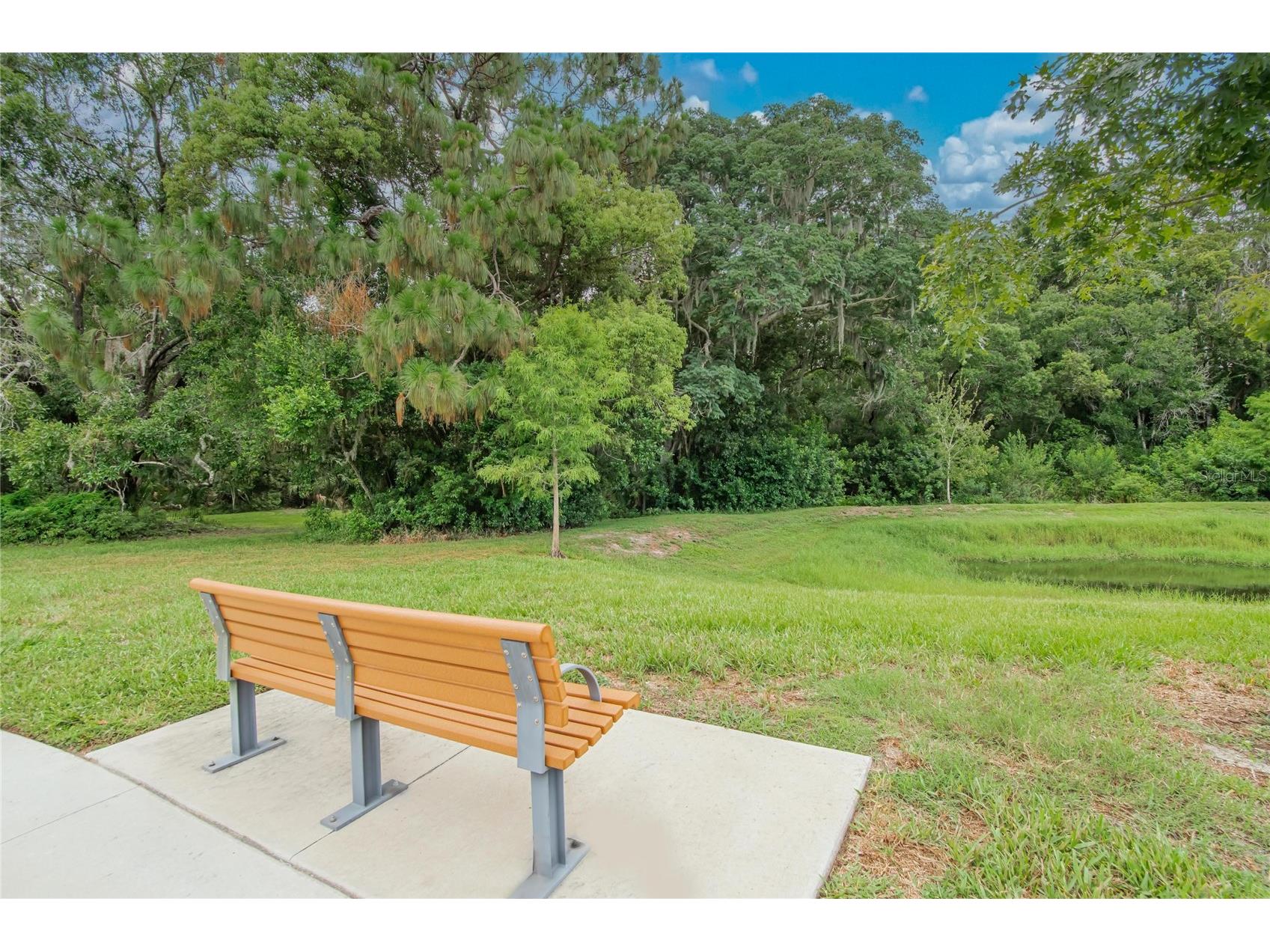 2597 Charlan Holiday FL 34690 TB8527149 image54