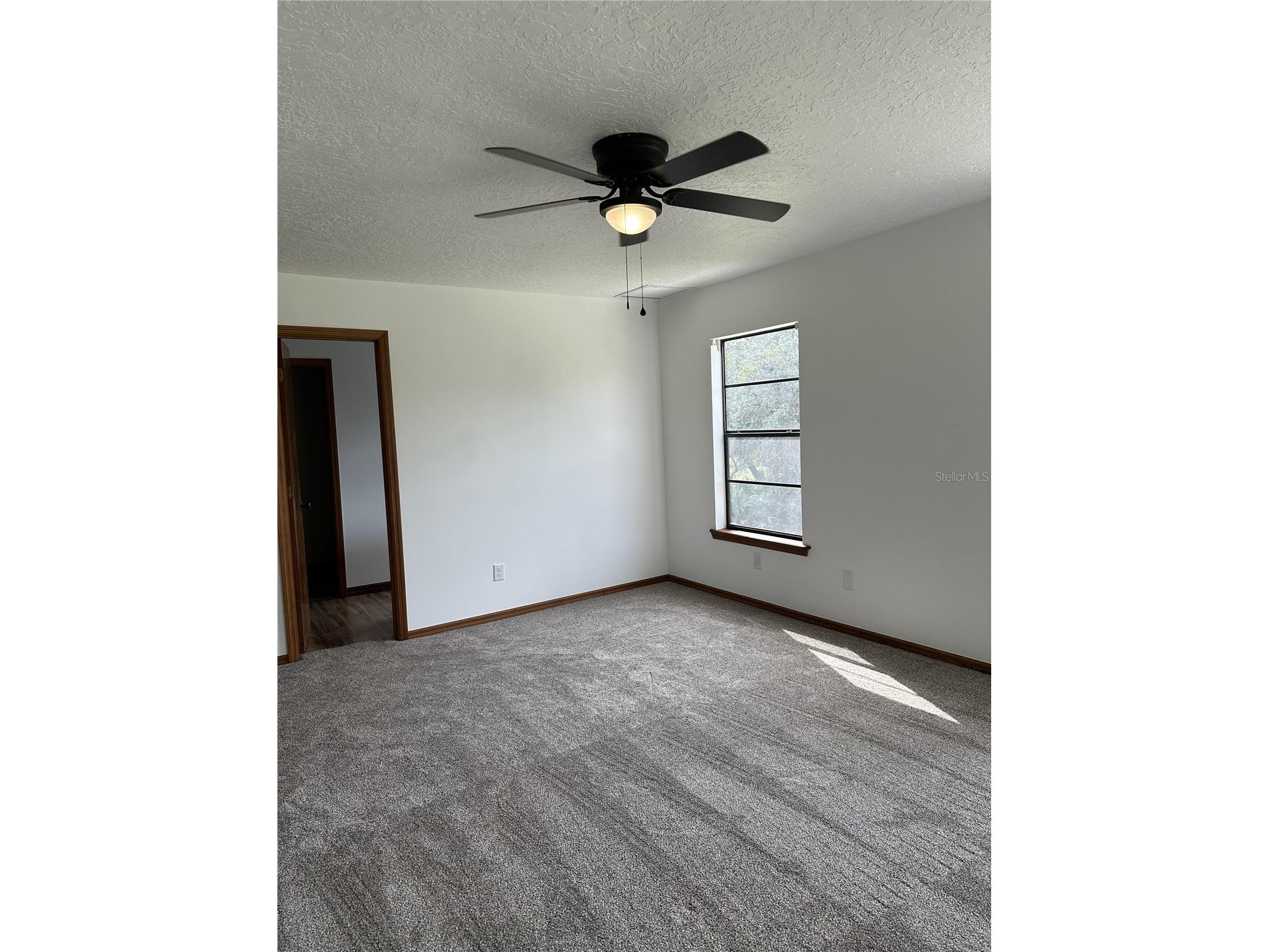 2598 Enterprise Osteen Road Osteen FL 32764 V4947250 image18