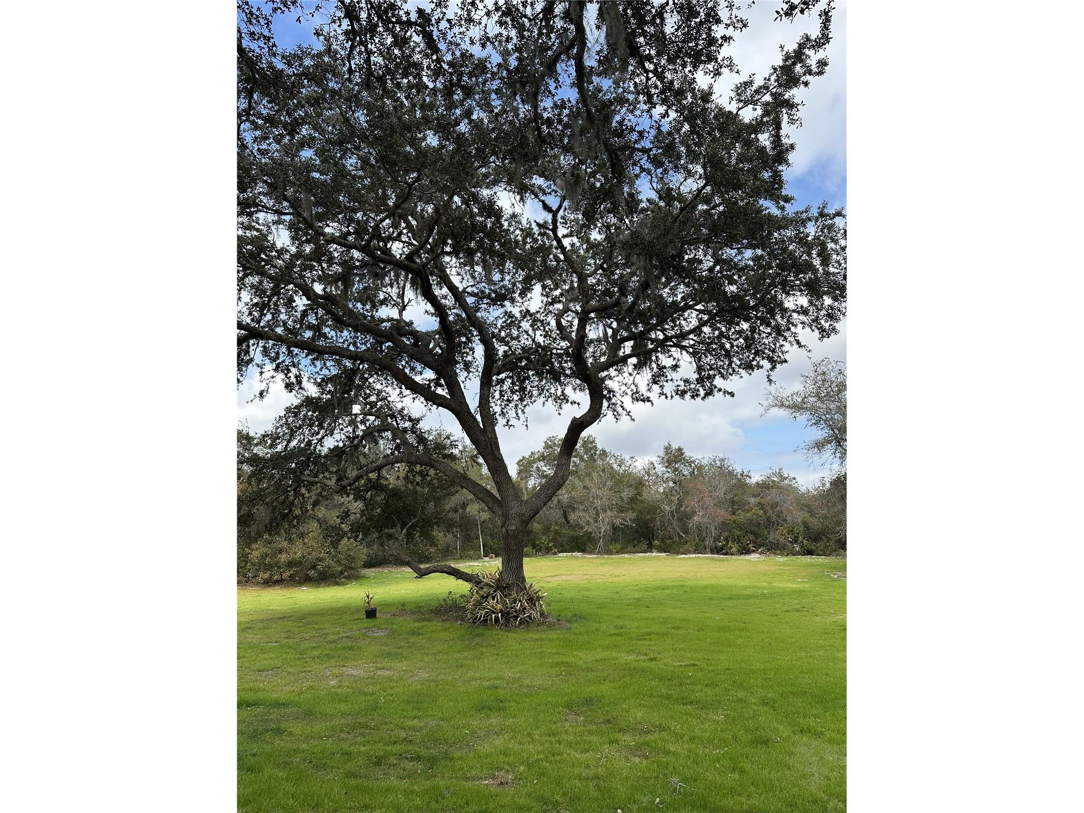 2598 Enterprise Osteen Road Osteen FL 32764 V4947250 image23