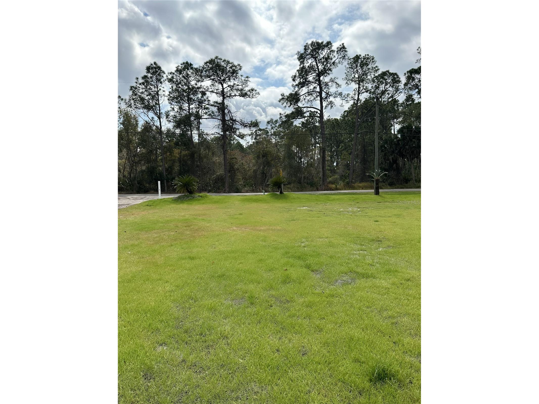 2598 Enterprise Osteen Road Osteen FL 32764 V4947250 image27
