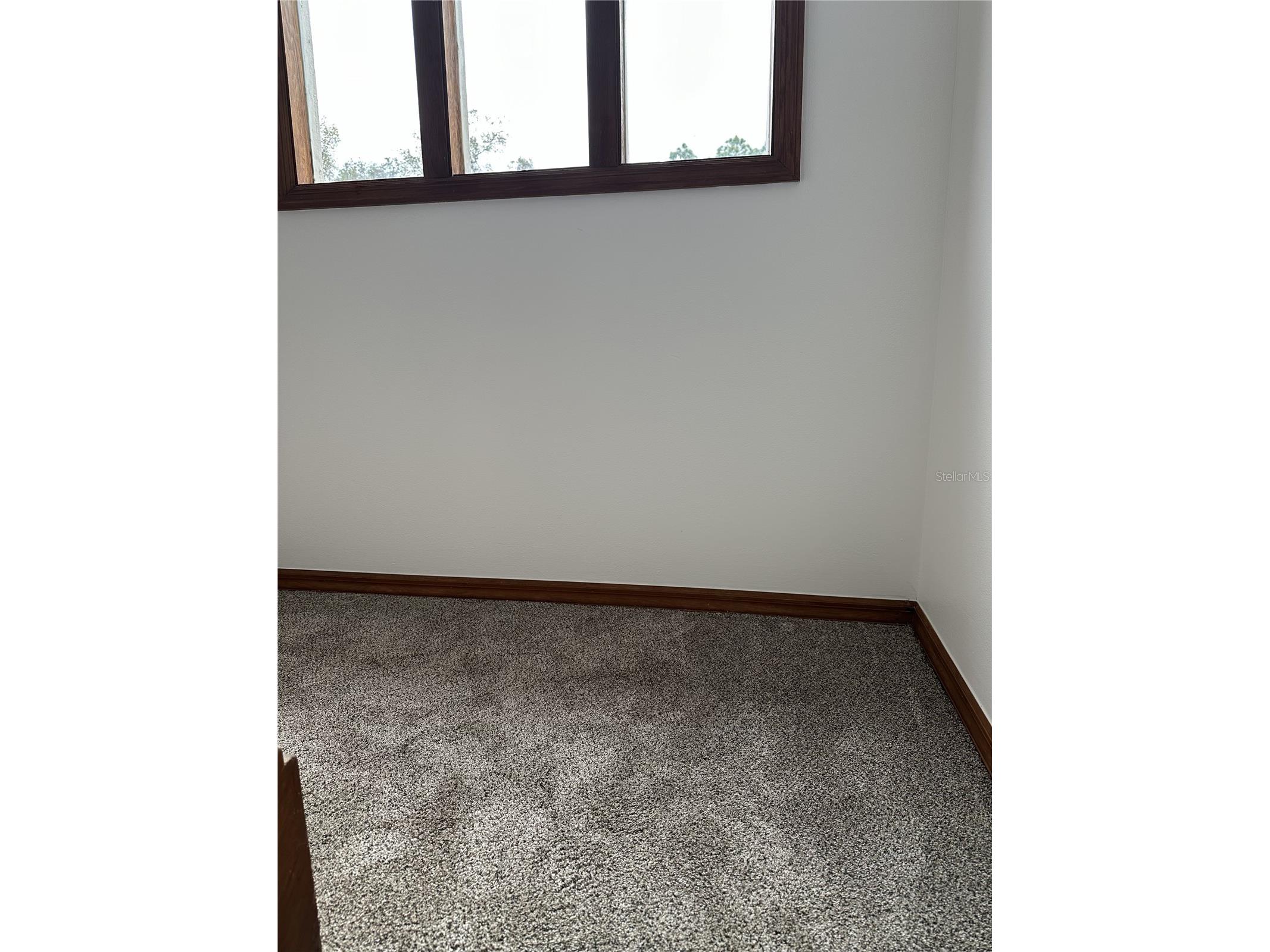 2598 Enterprise Osteen Road Osteen FL 32764 V4947250 image44