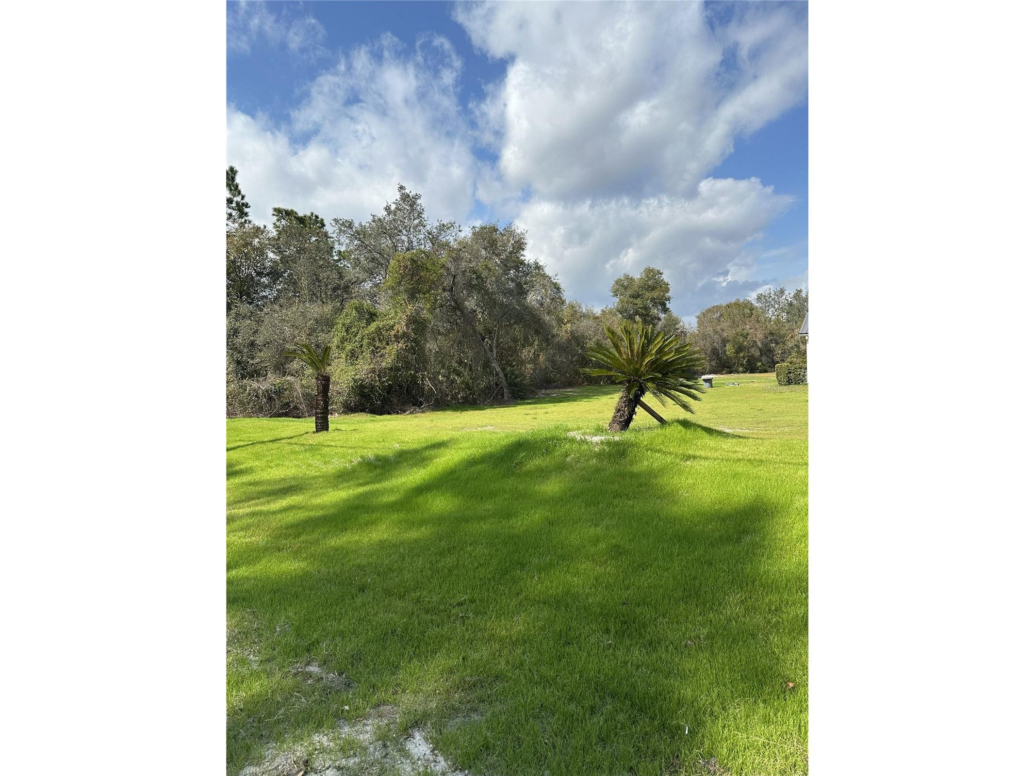 2598 Enterprise Osteen Road Osteen FL 32764 V4947250 image5