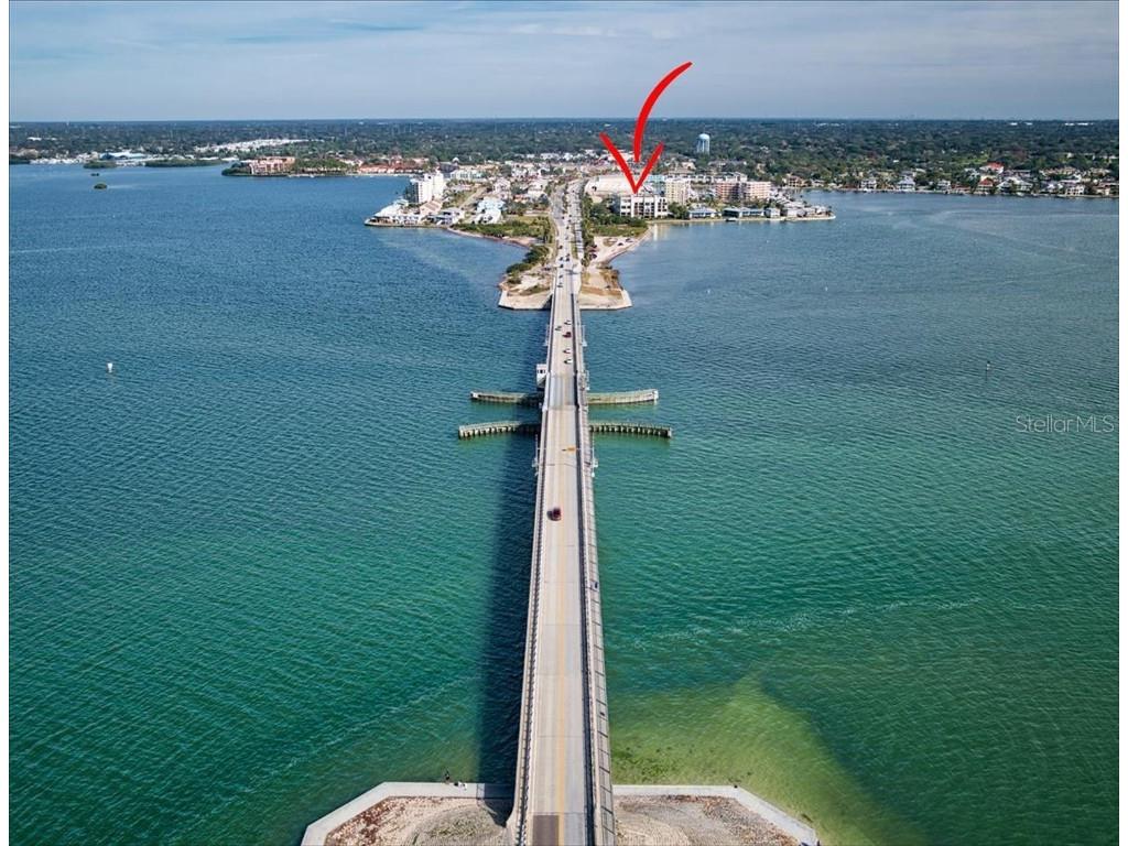 2598 Gary Circle #304 Dunedin FL 34698 U8224051 image1