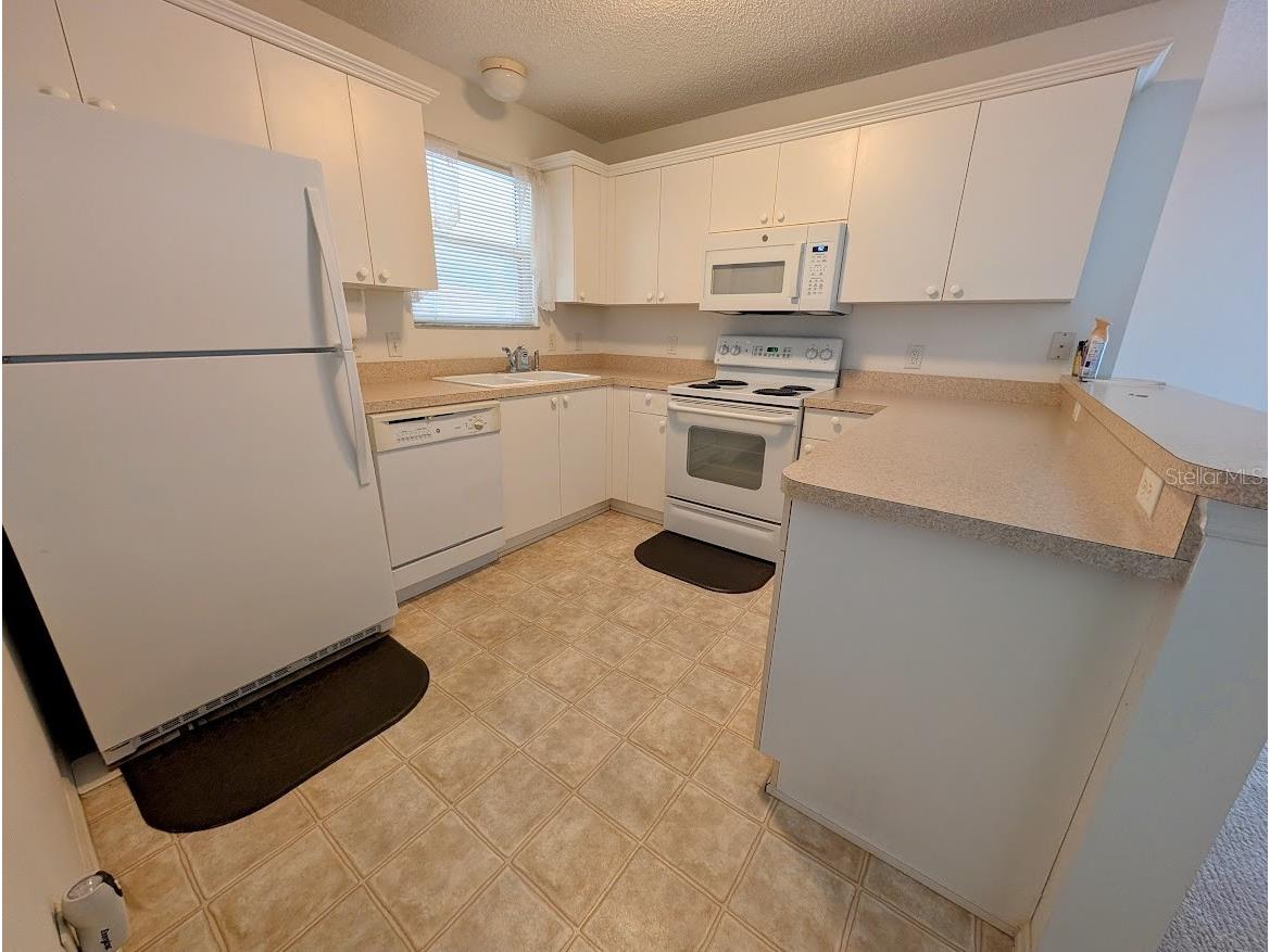 2598 Hialeah Avenue The Villages FL 32162 OM714573 image6