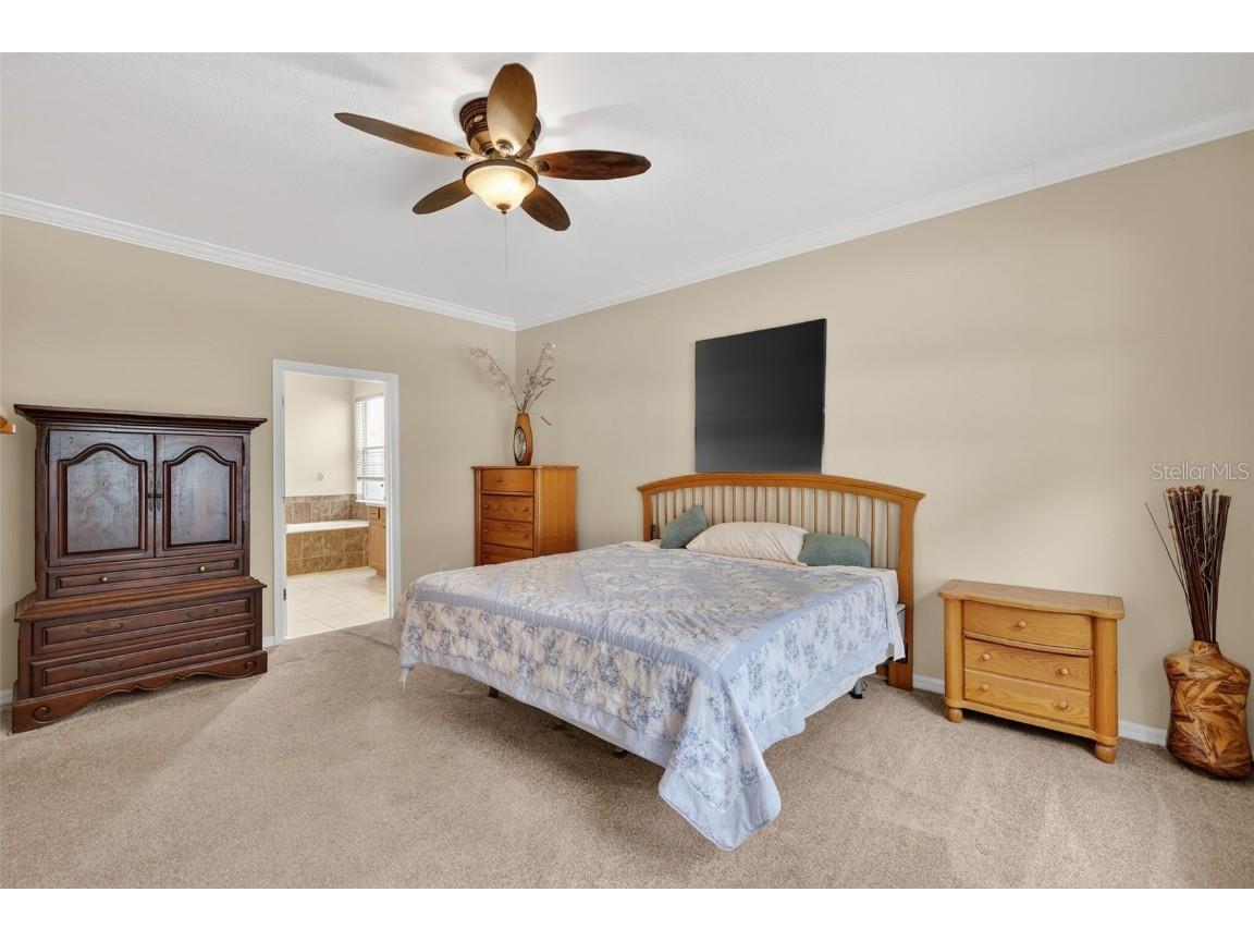 2598 Plumadore Drive Grand Island FL 32735 G5105567 image14