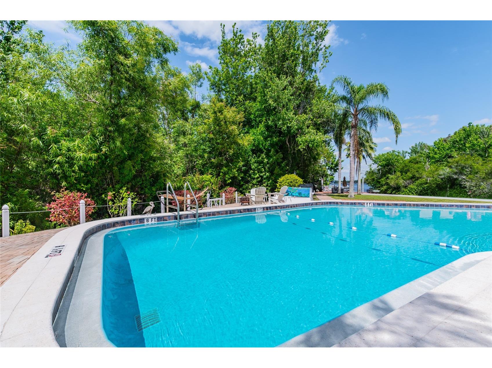 2599 Dolly Bay Drive #302 Palm Harbor FL 34684 - LAKE TARPON TB8502696 image26