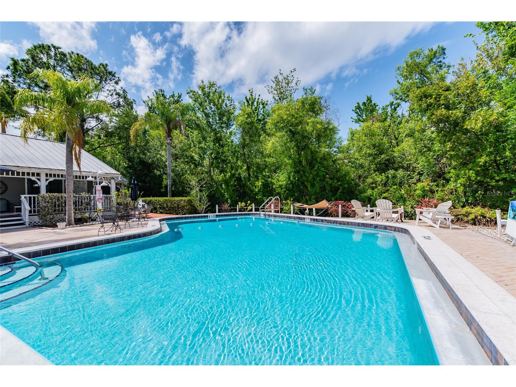 2599 Dolly Bay Drive #302 Palm Harbor FL 34684 - LAKE TARPON TB8502696 image27