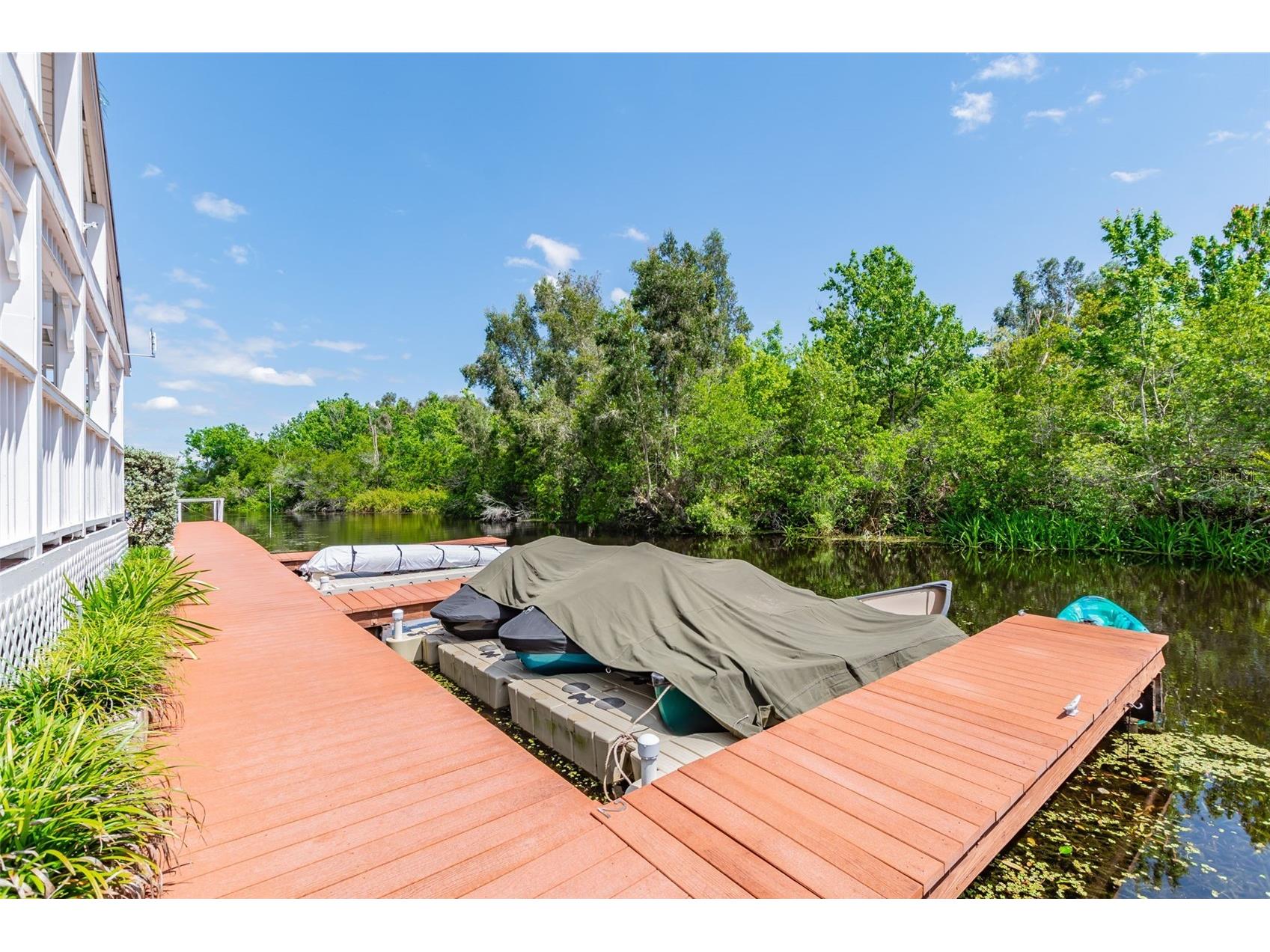 2599 Dolly Bay Drive #302 Palm Harbor FL 34684 - LAKE TARPON TB8502696 image30