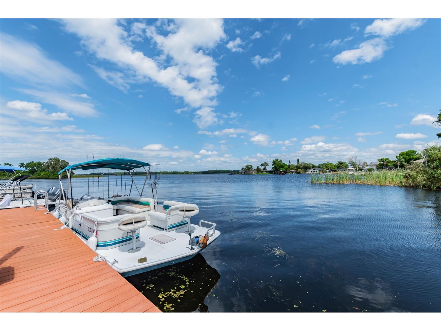 2599 Dolly Bay Drive #302 Palm Harbor FL 34684 - LAKE TARPON TB8502696 image31