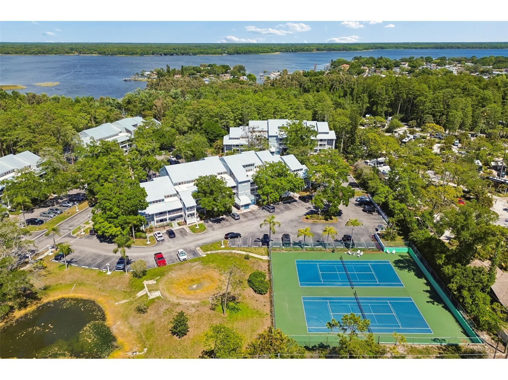 2599 Dolly Bay Drive #302 Palm Harbor FL 34684 - LAKE TARPON TB8502696 image33