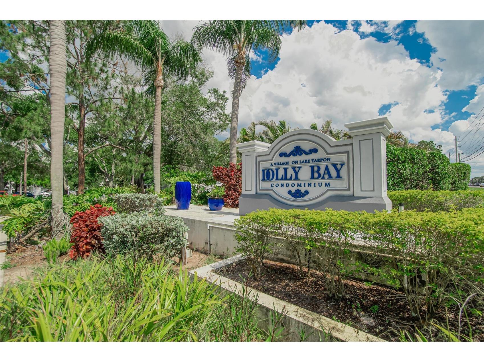 2599 Dolly Bay Drive #305 Palm Harbor FL 34684 TB8512345 image4