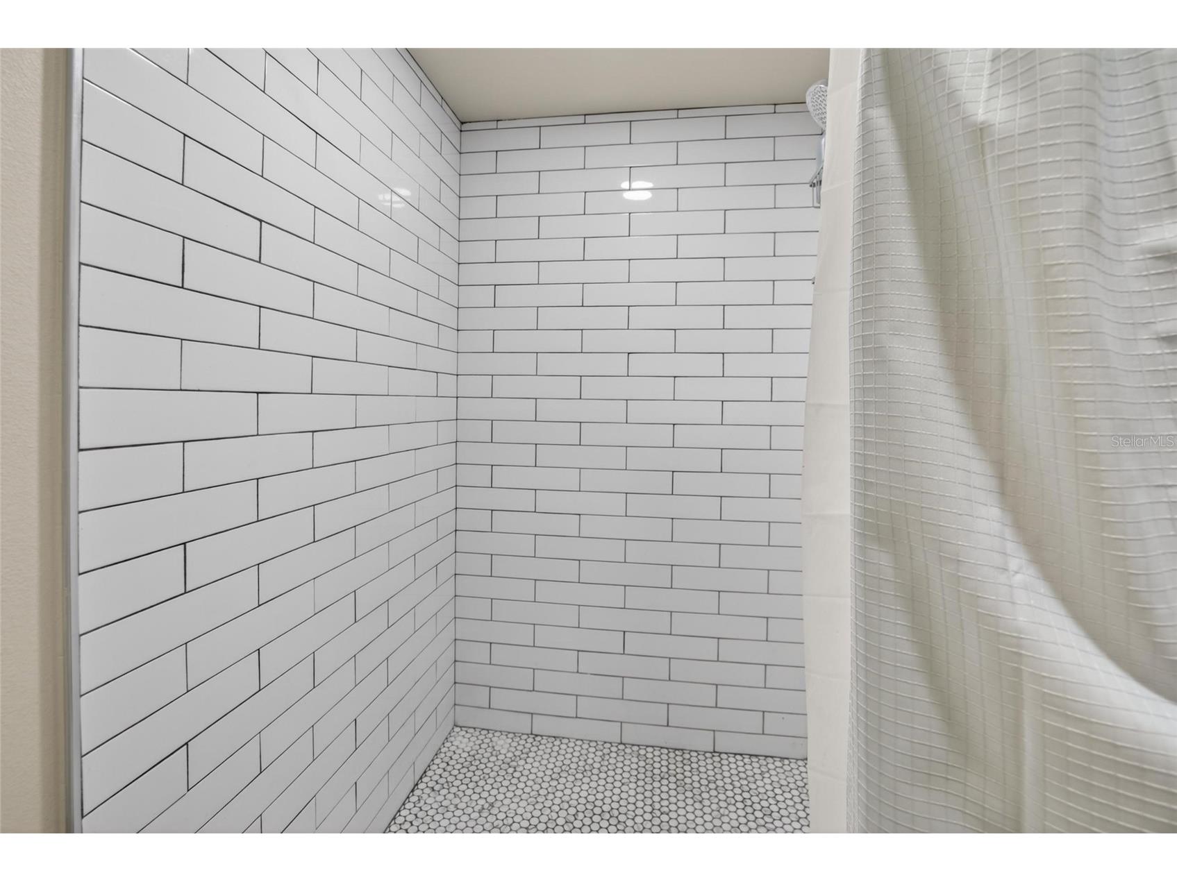 2599 Dolly Bay Drive #305 Palm Harbor FL 34684 TB8512345 image41