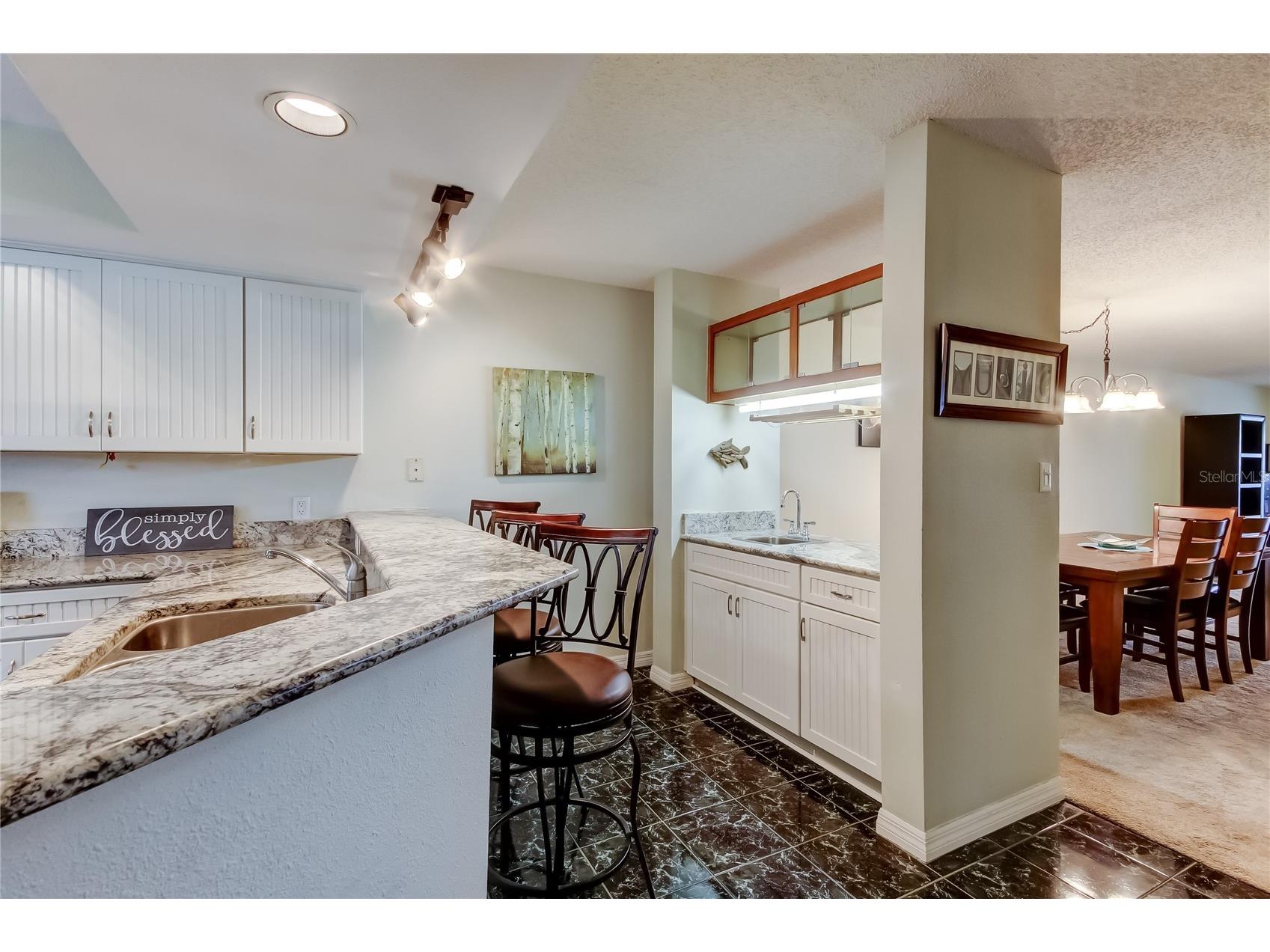 2599 Dolly Bay Drive #306 Palm Harbor FL 34684 - LAKE TARPON TB8445641 image14