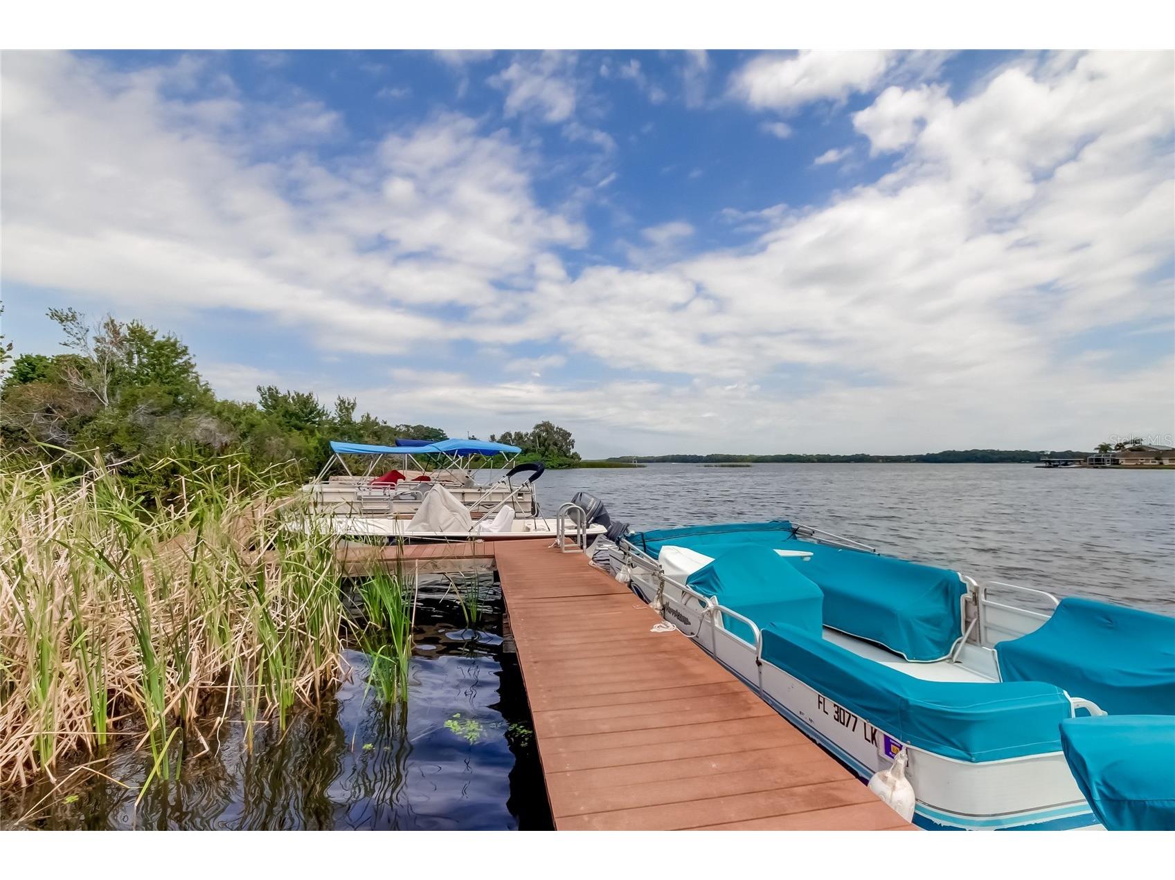 2599 Dolly Bay Drive #306 Palm Harbor FL 34684 - LAKE TARPON TB8445641 image3