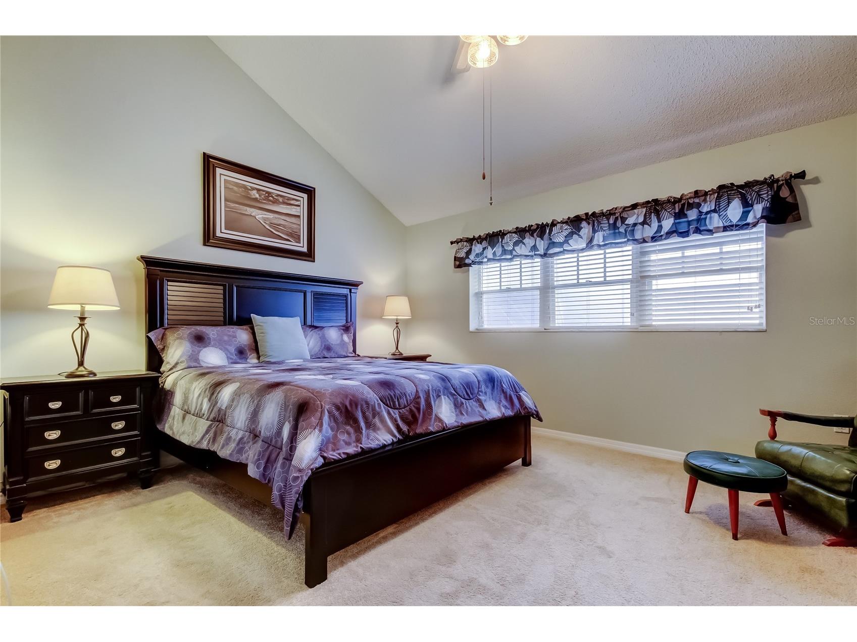 2599 Dolly Bay Drive #306 Palm Harbor FL 34684 - LAKE TARPON TB8445641 image32