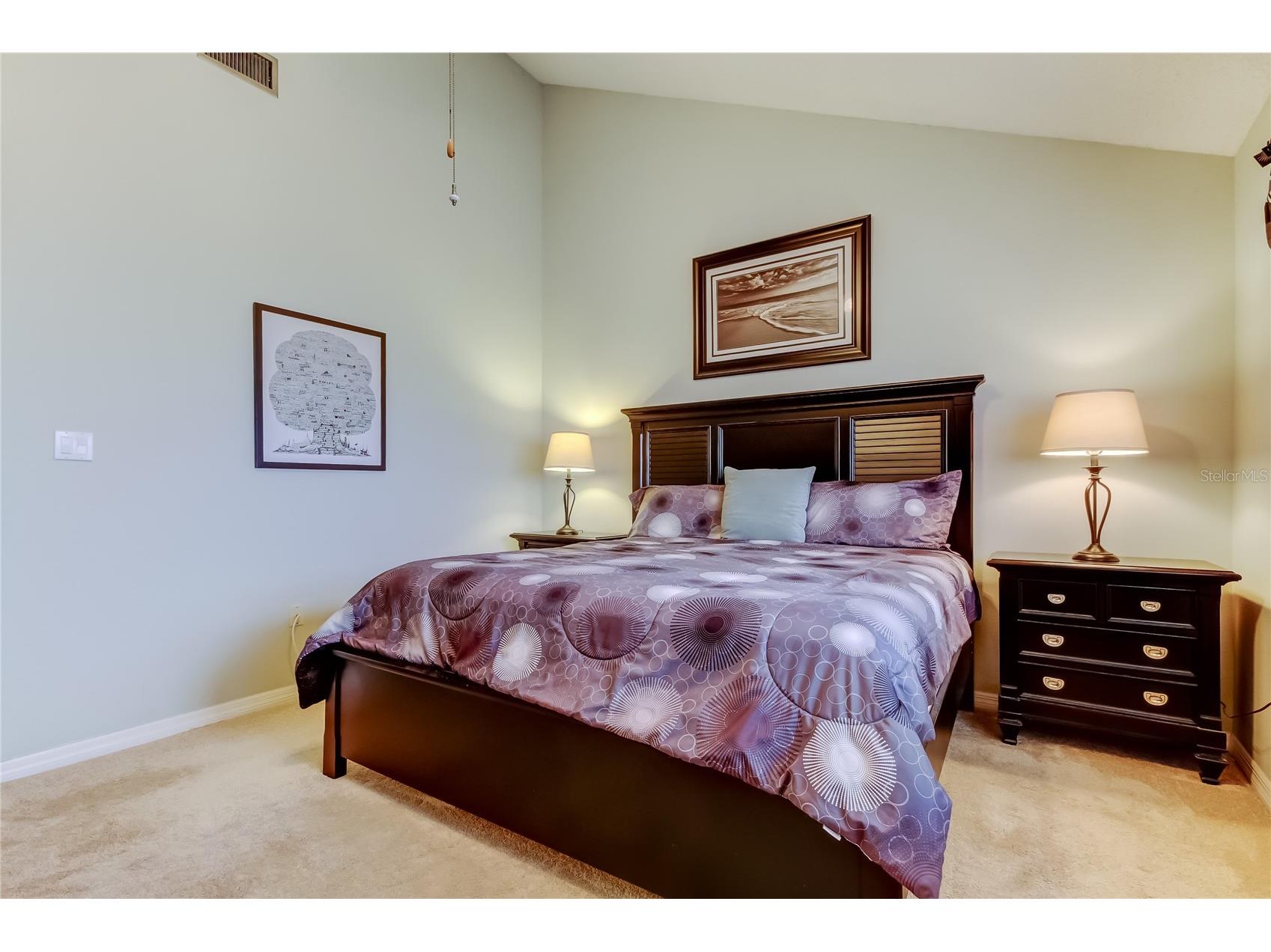 2599 Dolly Bay Drive #306 Palm Harbor FL 34684 - LAKE TARPON TB8445641 image33