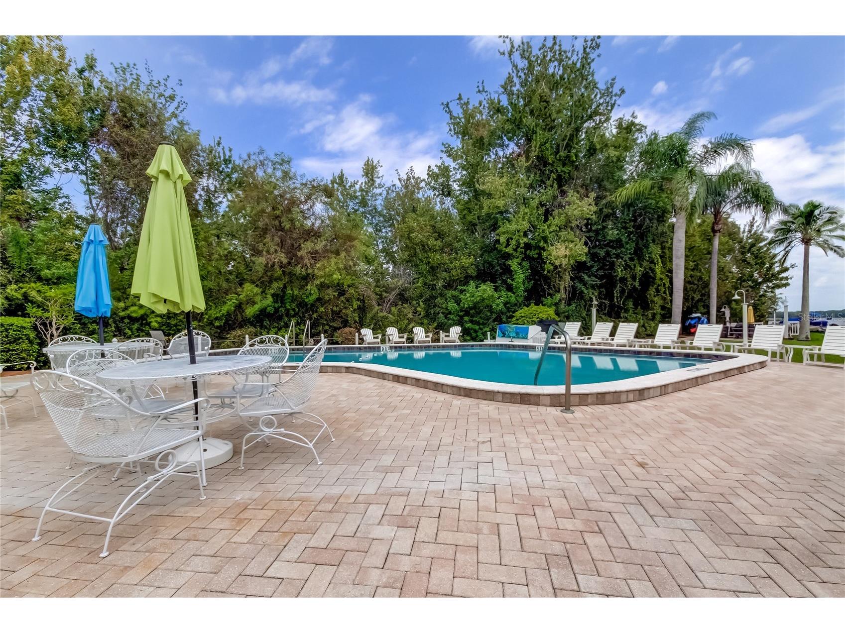 2599 Dolly Bay Drive #306 Palm Harbor FL 34684 - LAKE TARPON TB8445641 image35
