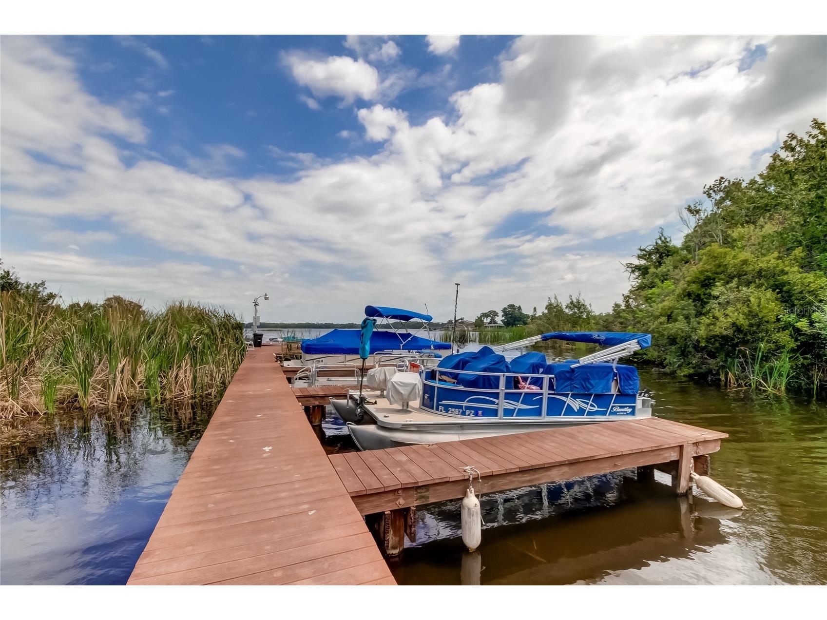 2599 Dolly Bay Drive #306 Palm Harbor FL 34684 - LAKE TARPON TB8445641 image36