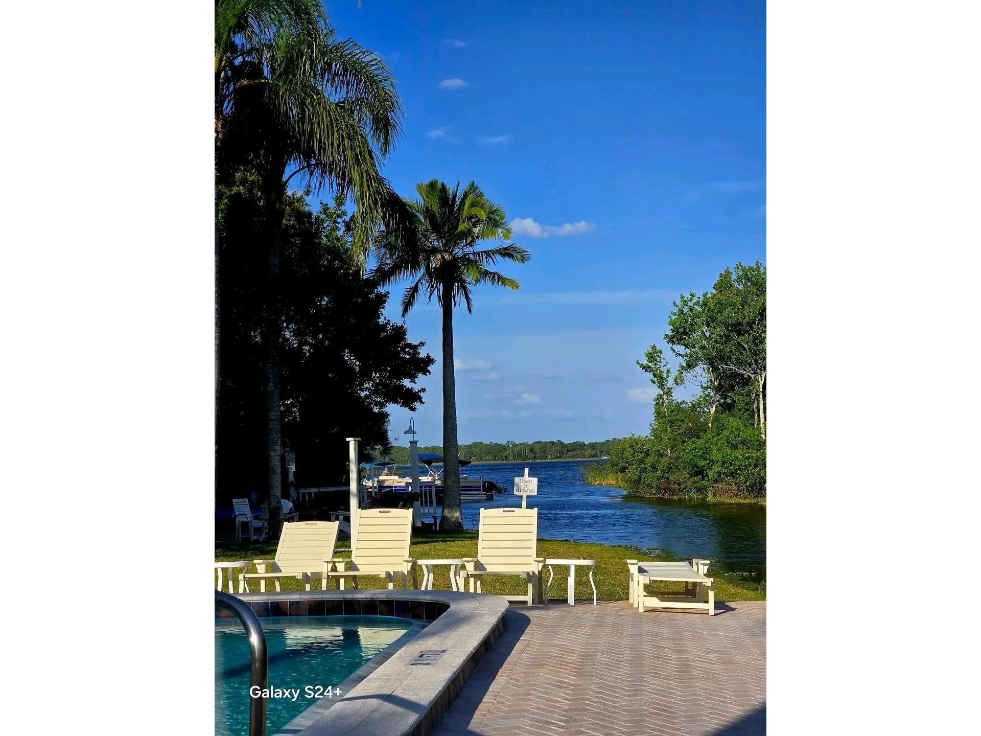 2599 Dolly Bay Drive #306 Palm Harbor FL 34684 - LAKE TARPON TB8445641 image39