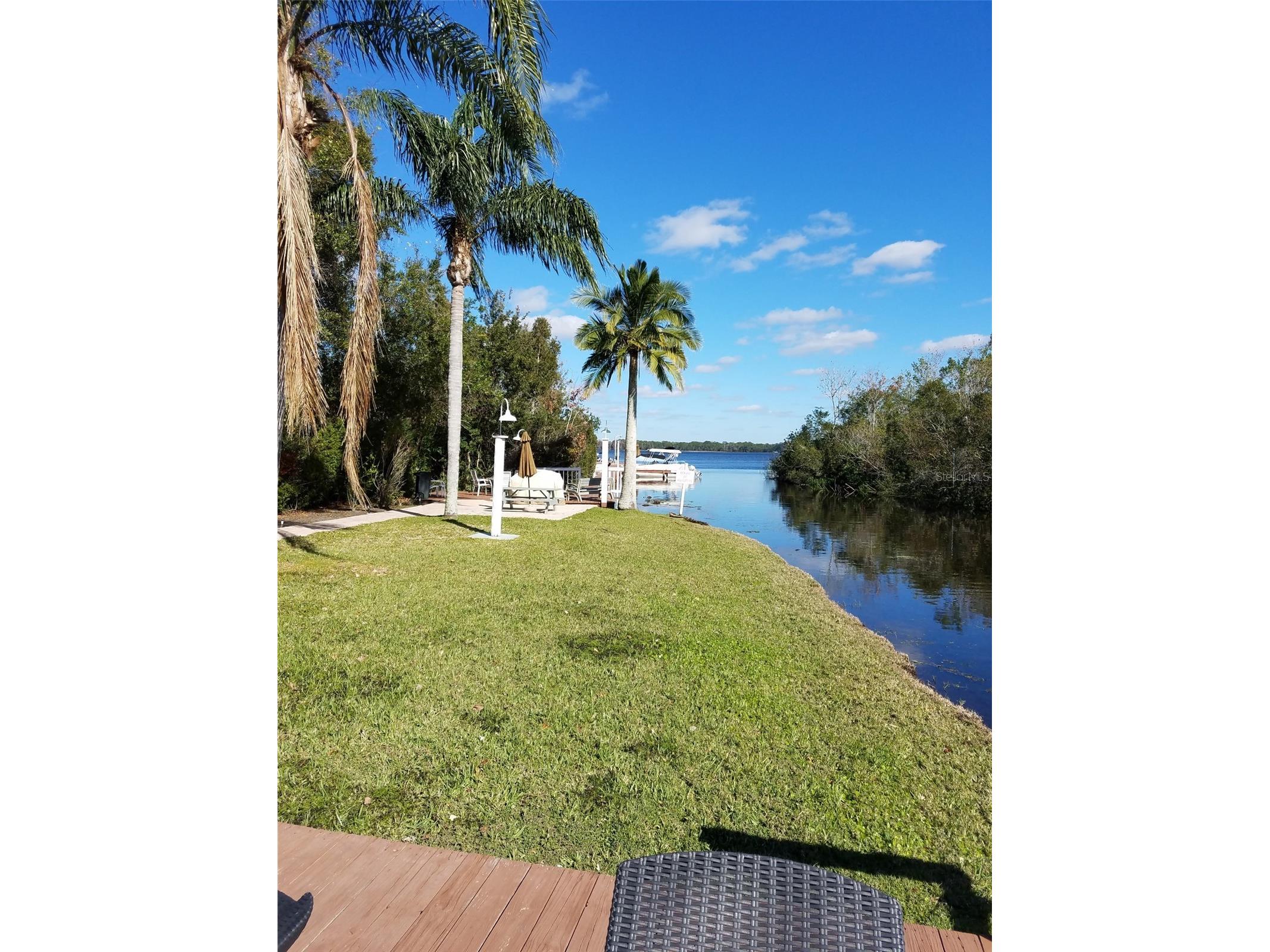 2599 Dolly Bay Drive #306 Palm Harbor FL 34684 - LAKE TARPON TB8445641 image41