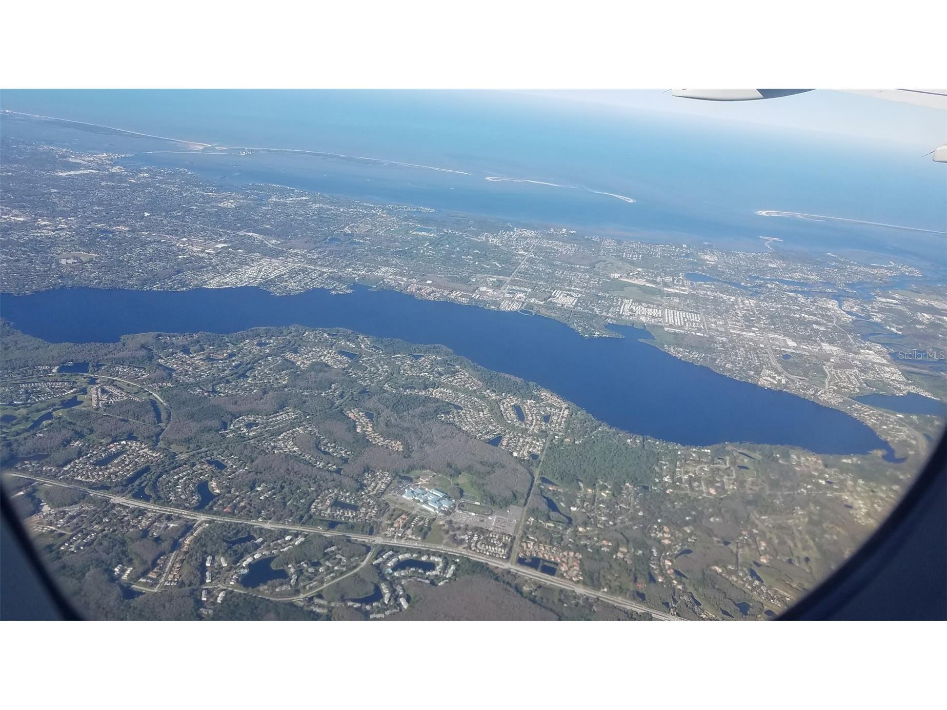 2599 Dolly Bay Drive #306 Palm Harbor FL 34684 - LAKE TARPON TB8445641 image42