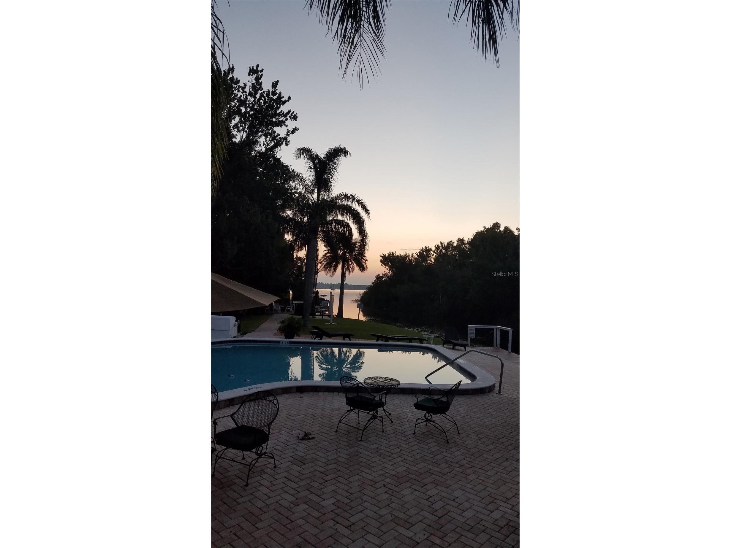 2599 Dolly Bay Drive #306 Palm Harbor FL 34684 - LAKE TARPON TB8445641 image43