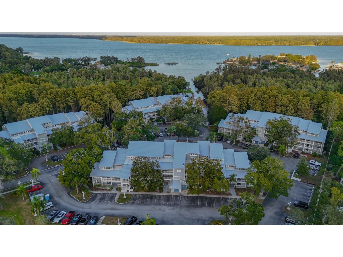 2599 Dolly Bay Drive #308 Palm Harbor FL 34684 - LAKE TARPON TB8441687 image1