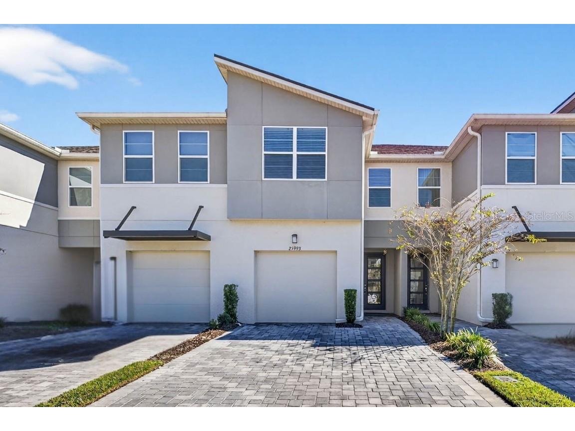 25993 Woven Wicker Bend Lutz FL 33559 TB8449774 image1